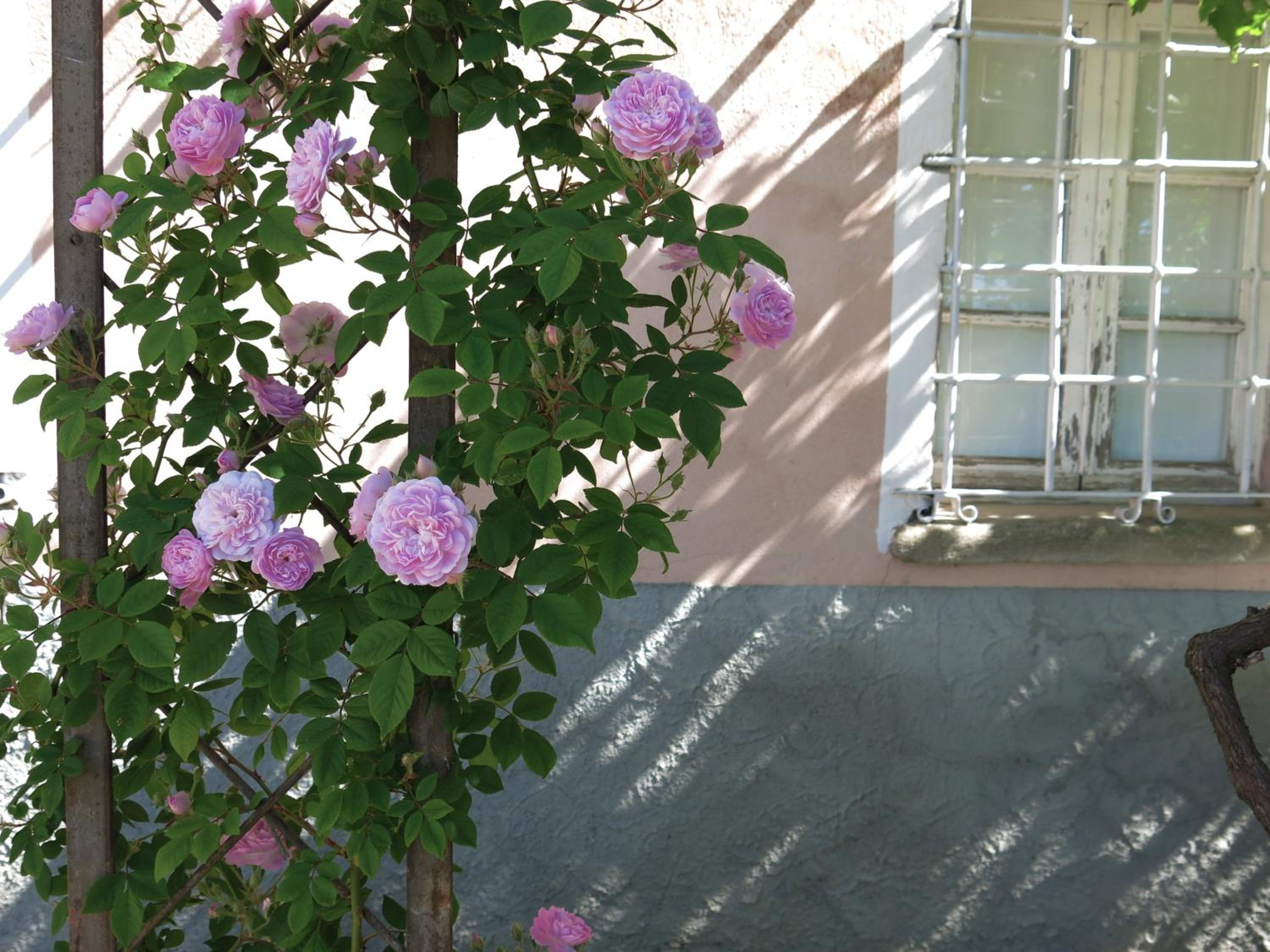 B&B Casa Meli view 4