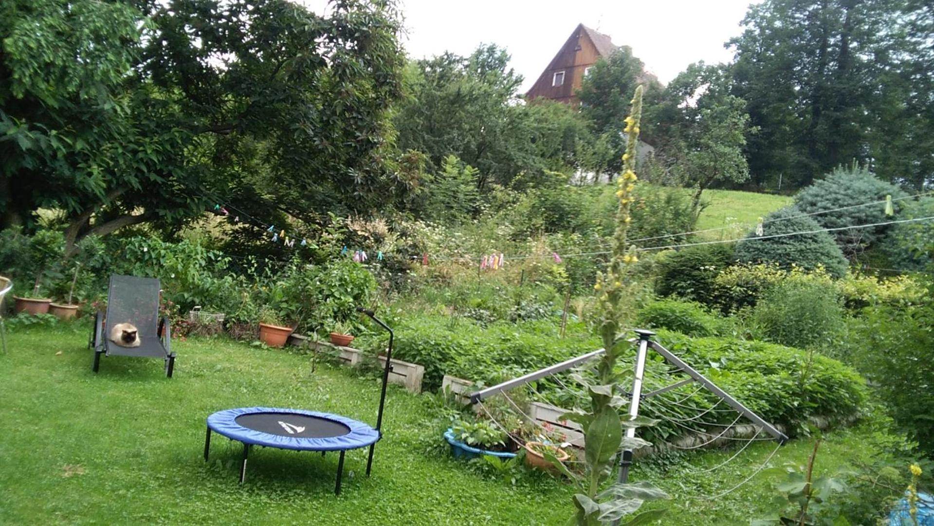 Komfortowe noclegi w Villi blisko natury view 3