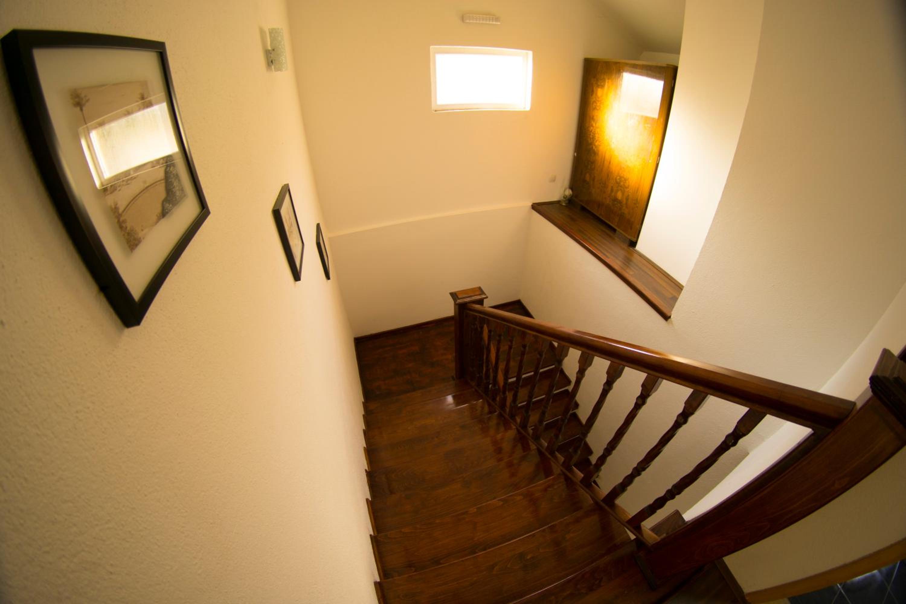 Photo 51