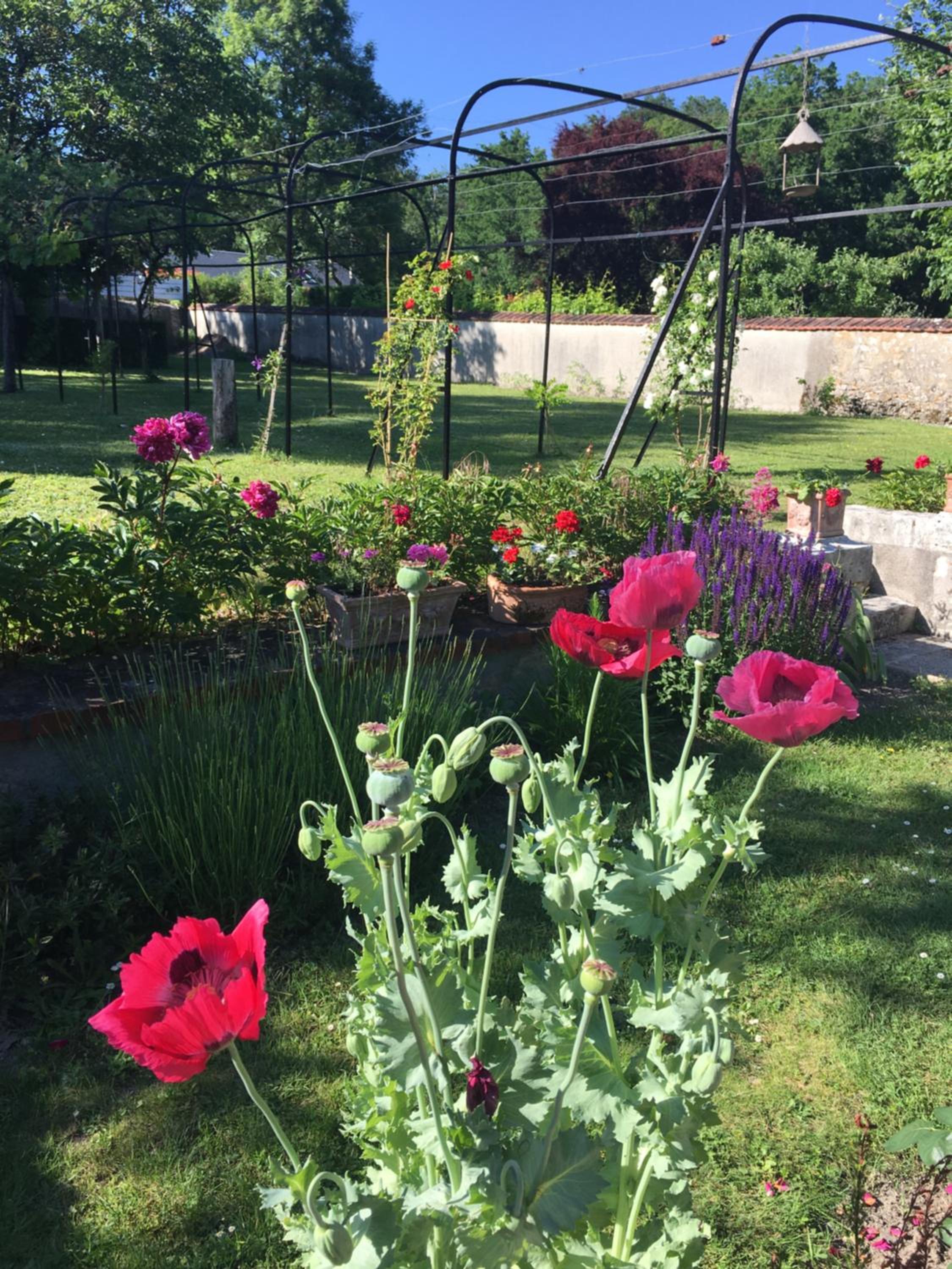 Photo 15