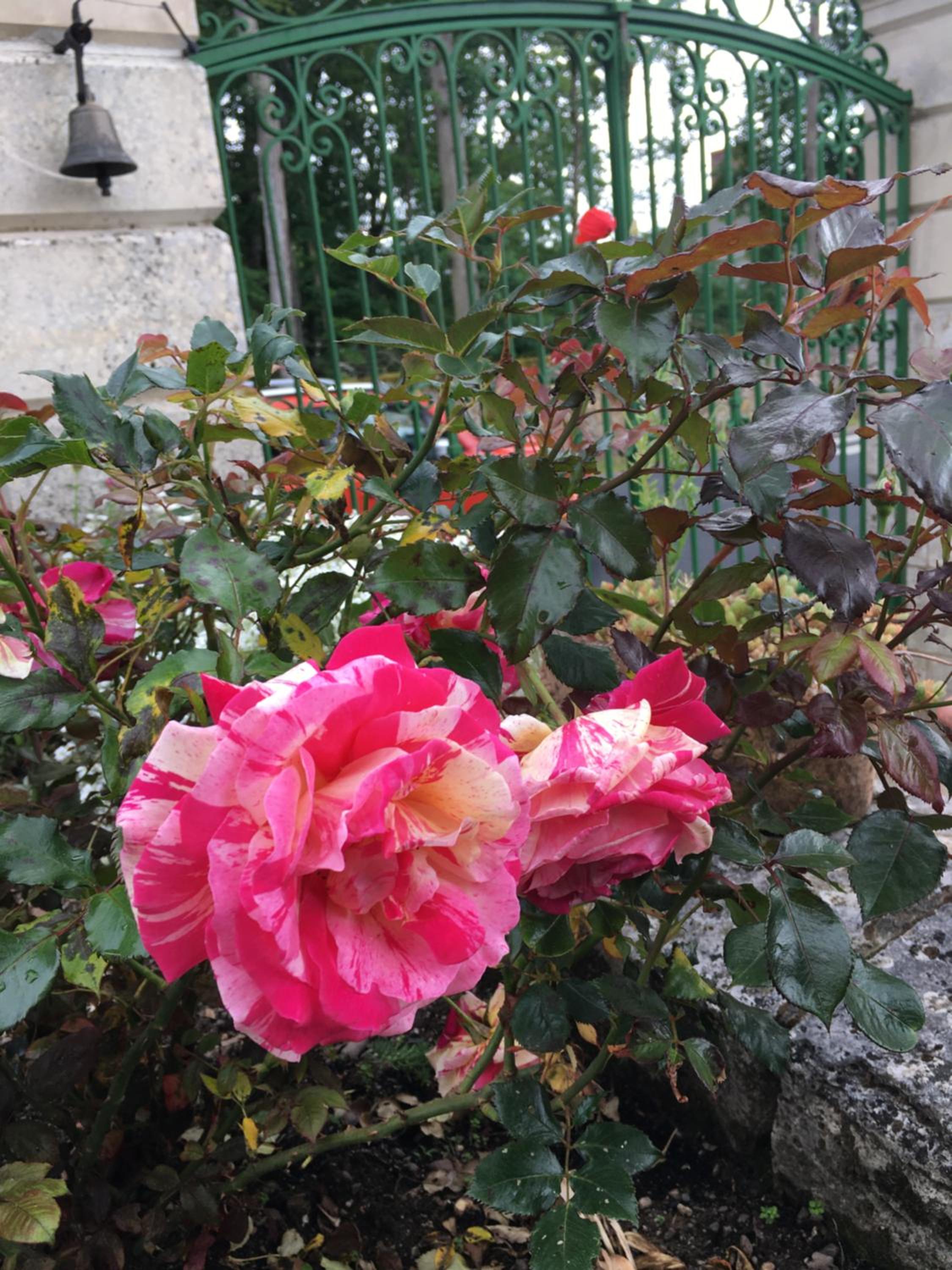 Photo 17