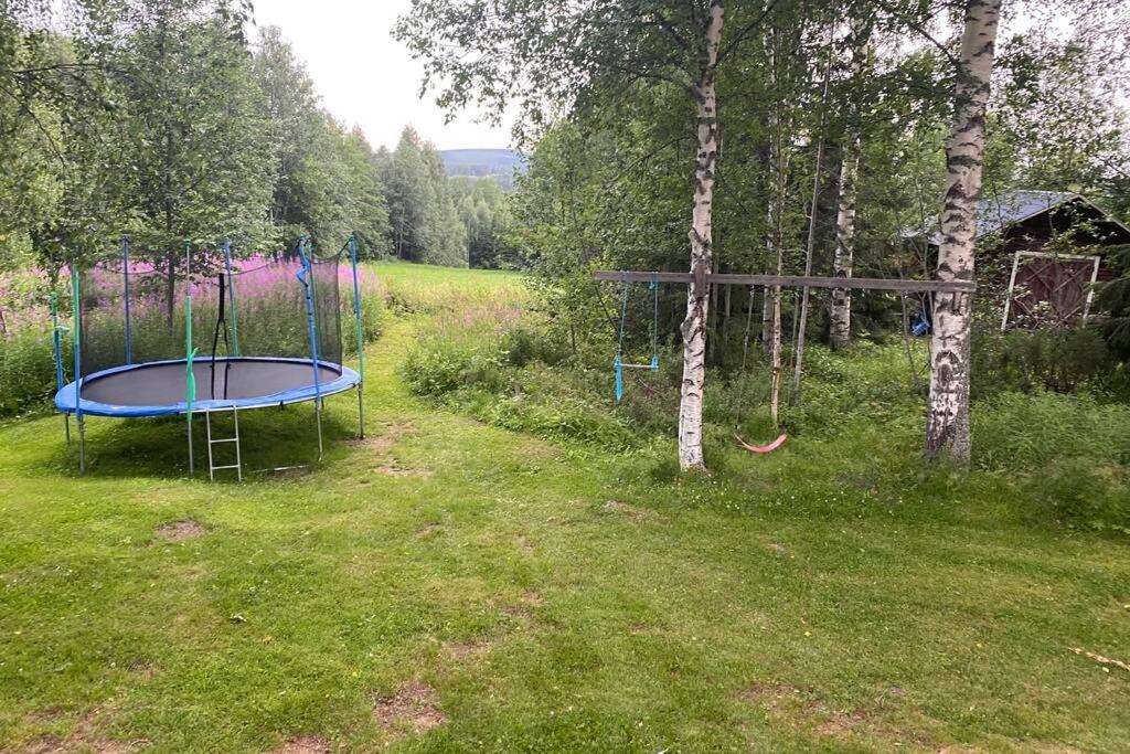 Summer in the North of Sweden view 3