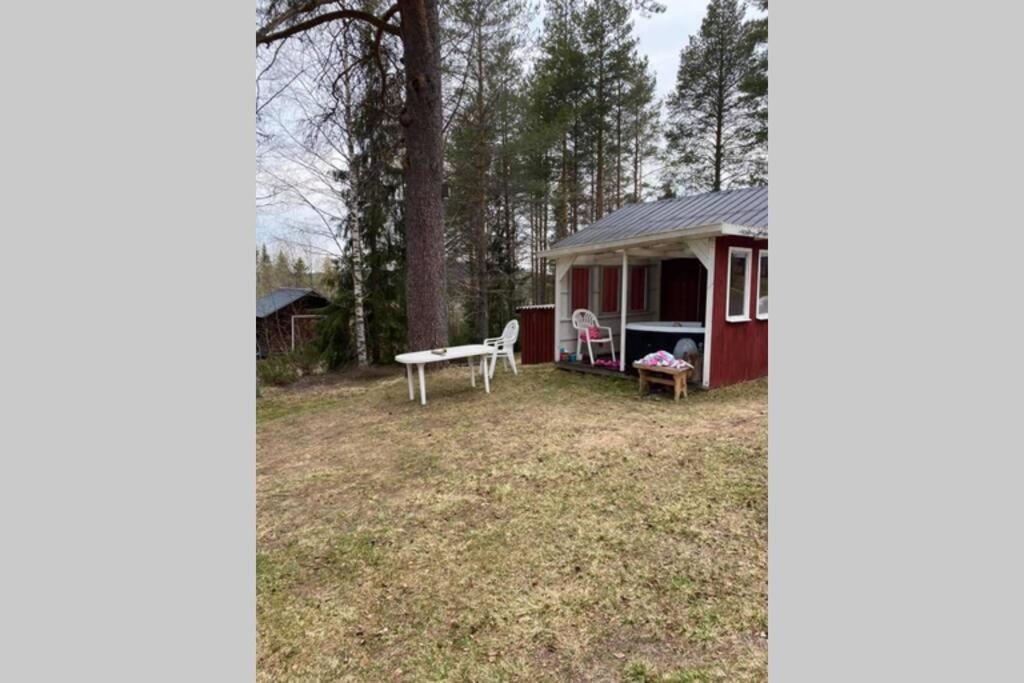 Summer in the North of Sweden view 4