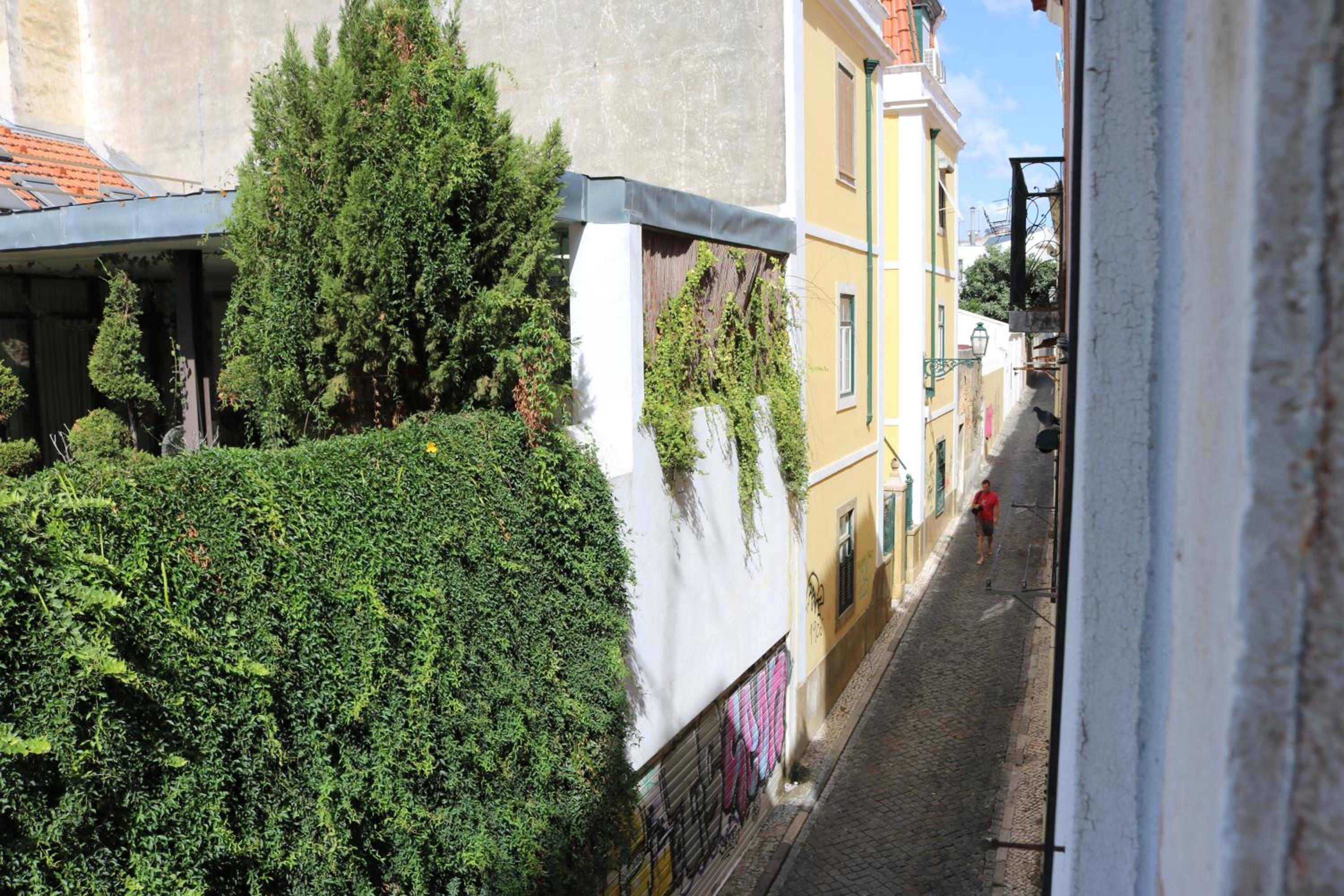Photo 29