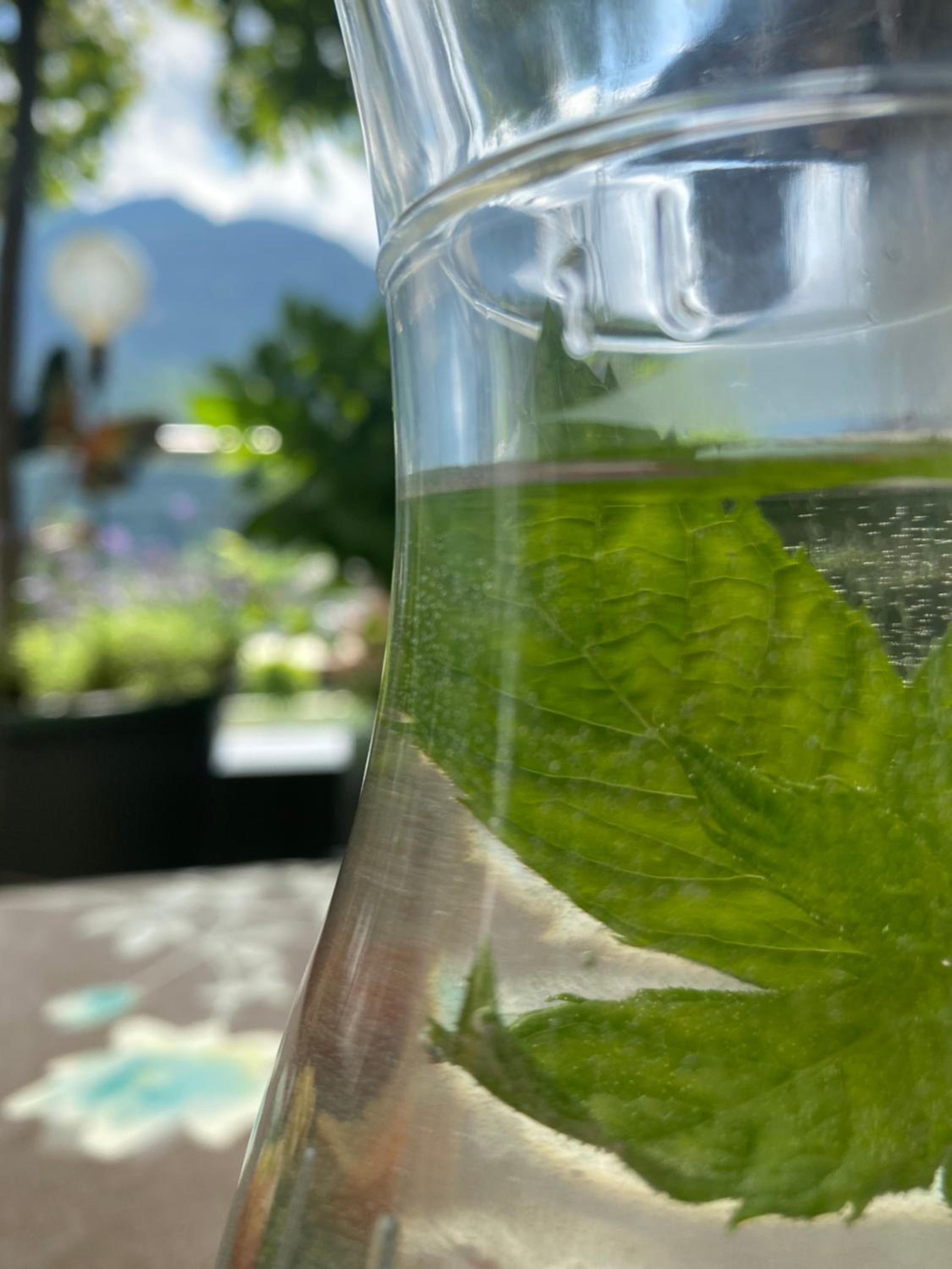 Hotel Garni Pinzgau, Relax & Lifestyle