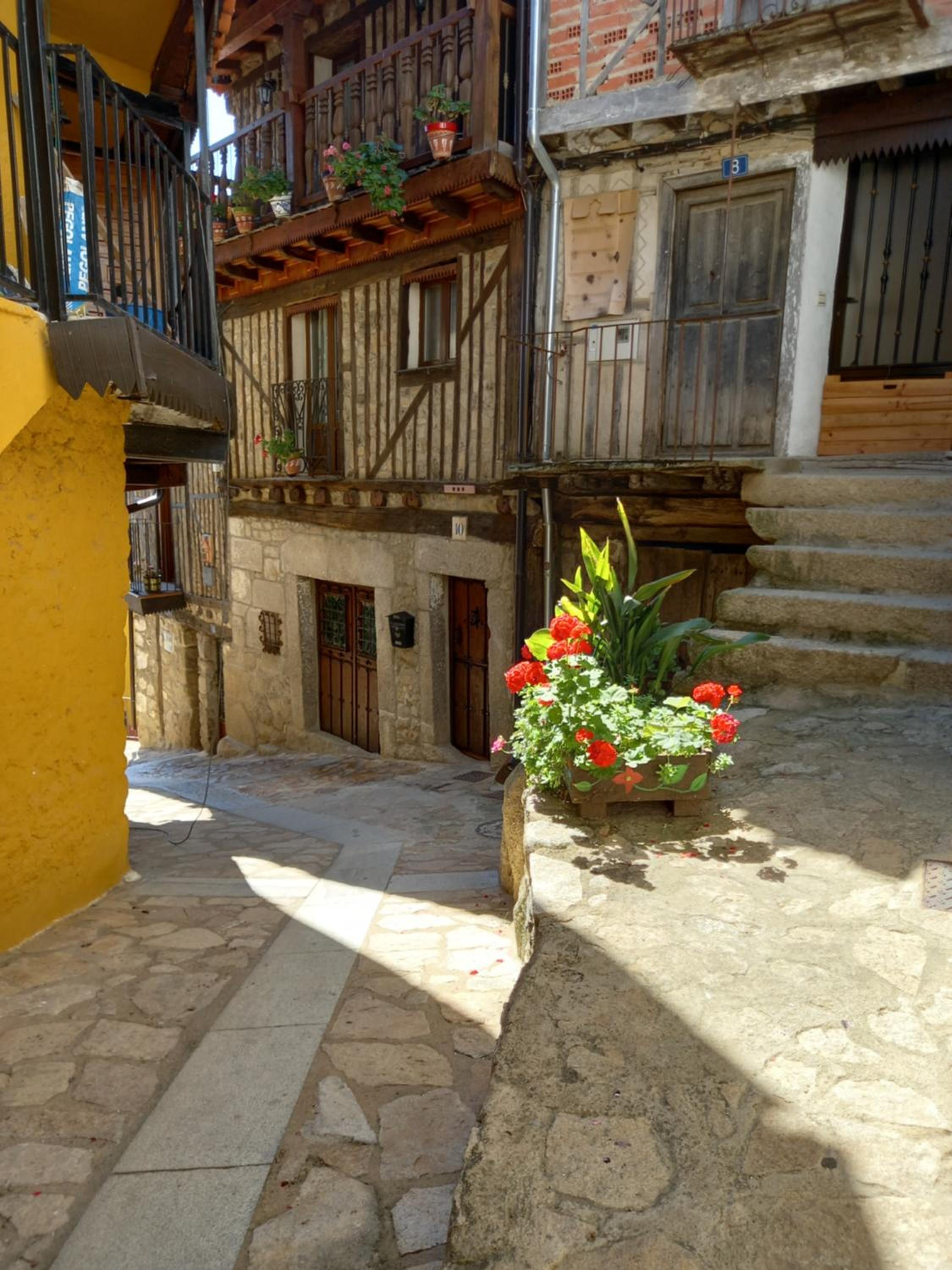 Photo 41