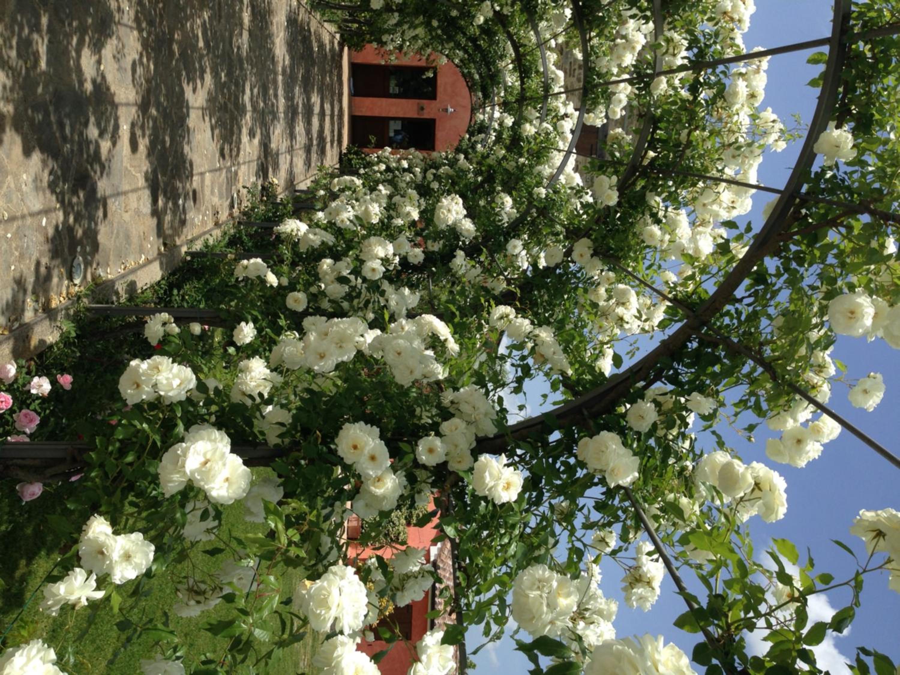 Photo 27