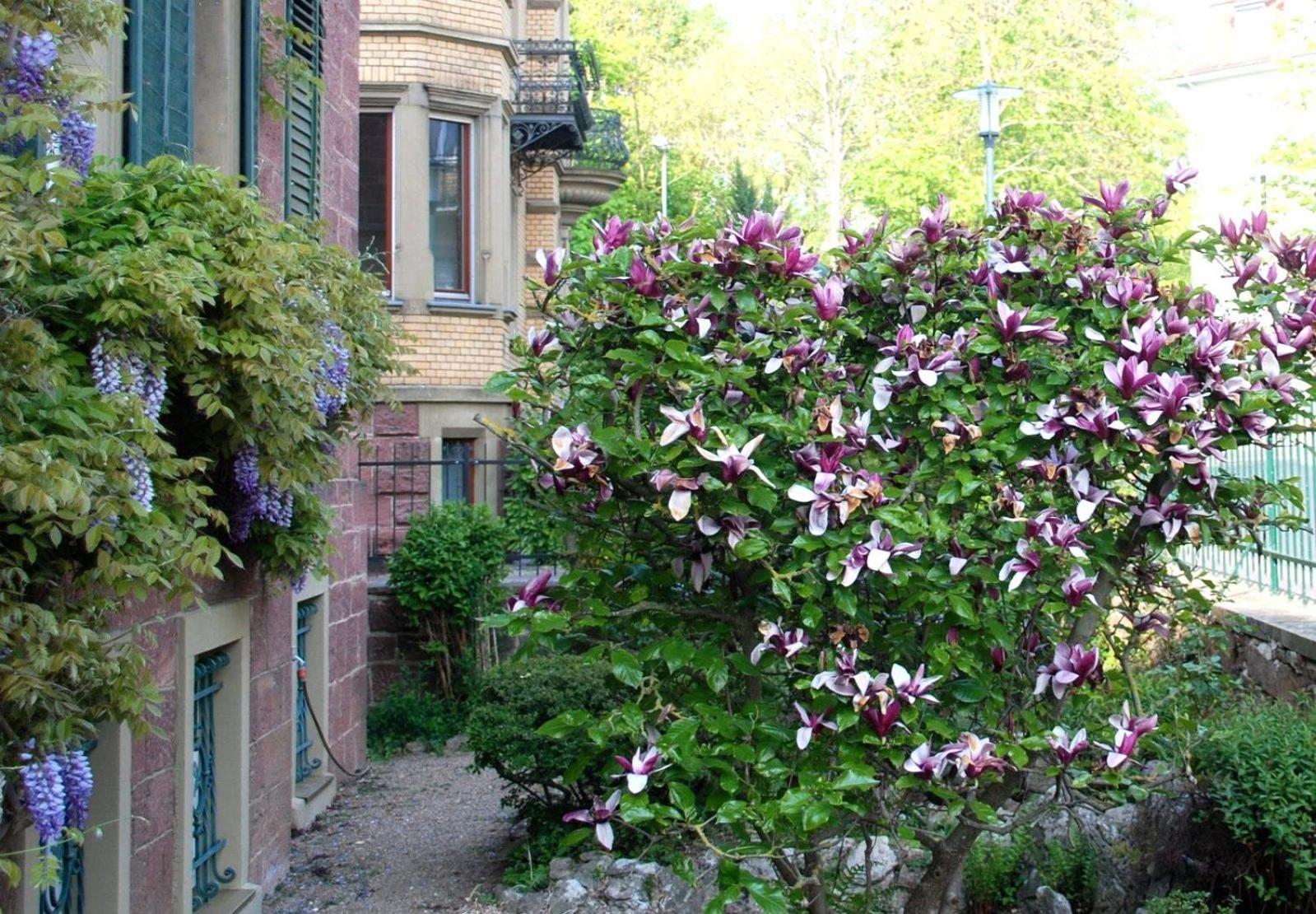 Haus Häselbarth view 5