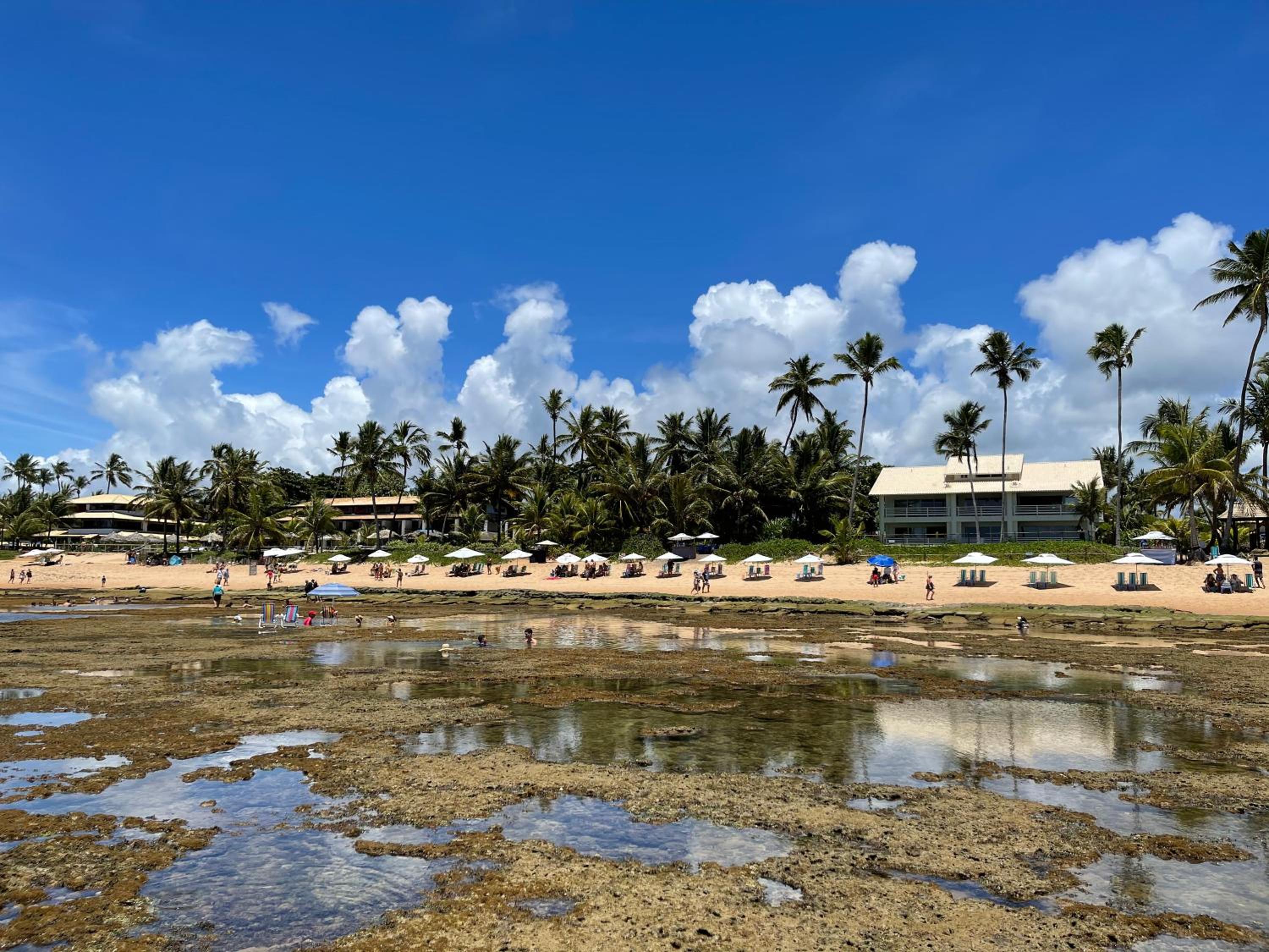 Apartamento Luxuoso à Beira-mar em Praia do Forte