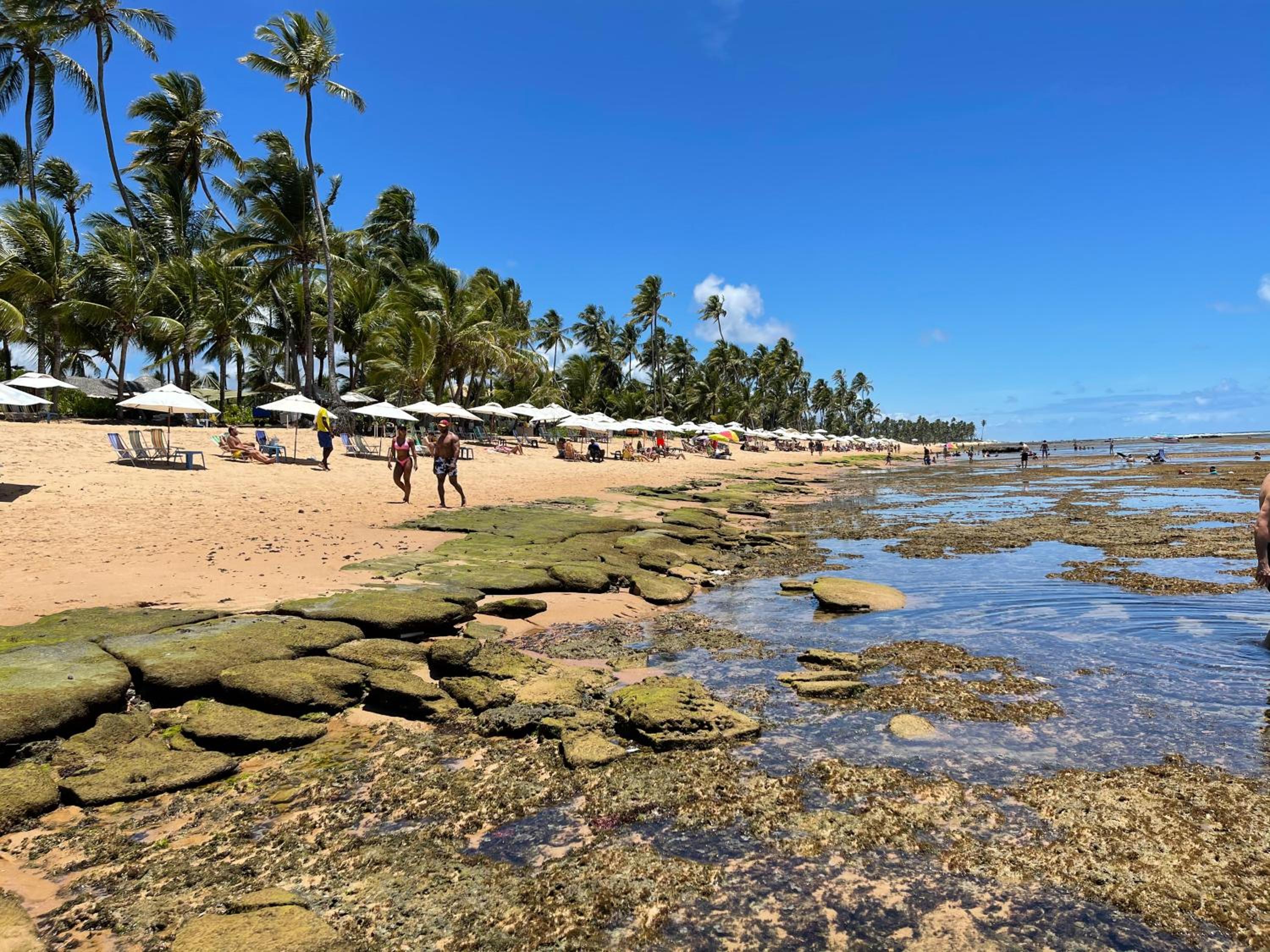 Apartamento Luxuoso à Beira-mar em Praia do Forte