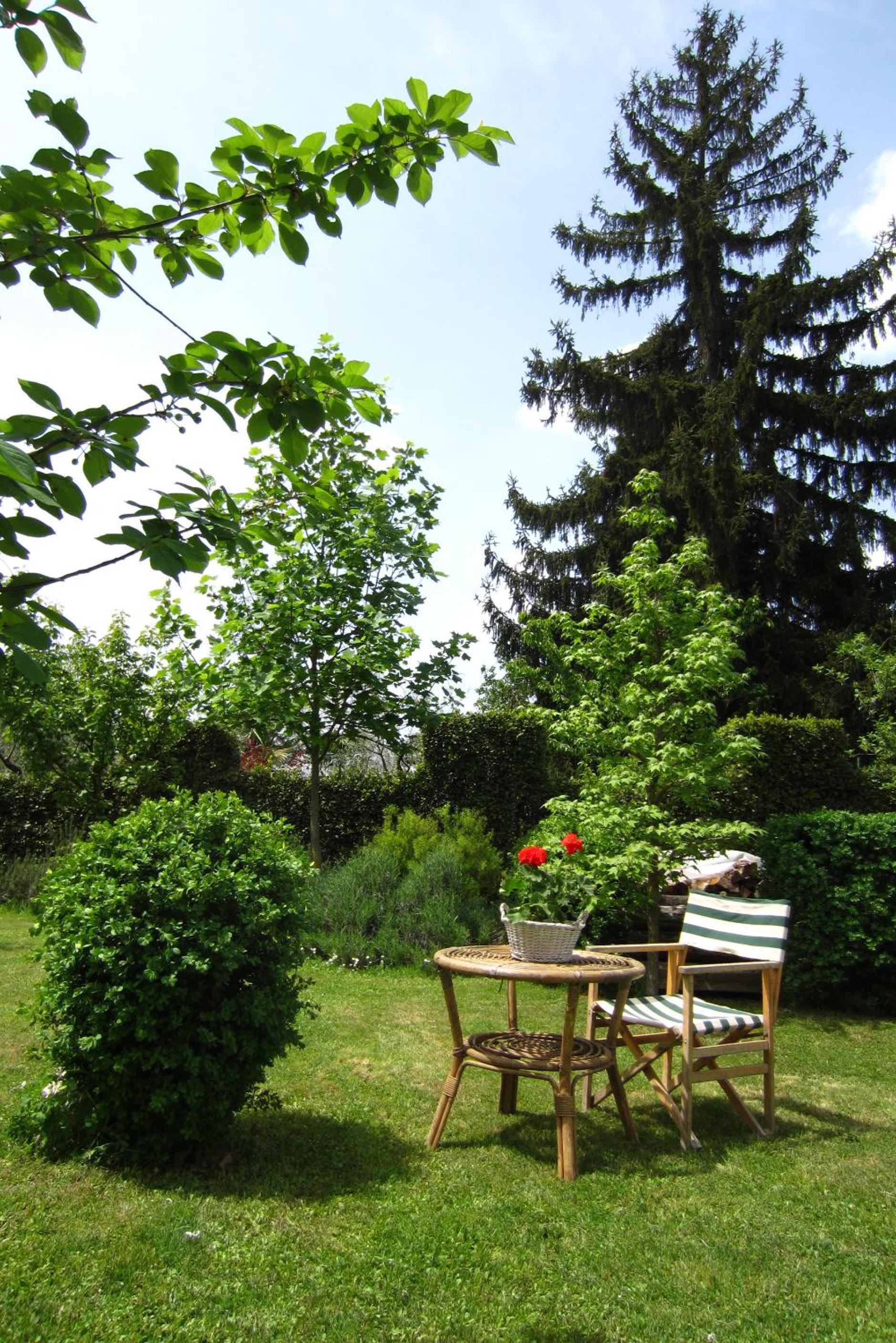 Photo 34
