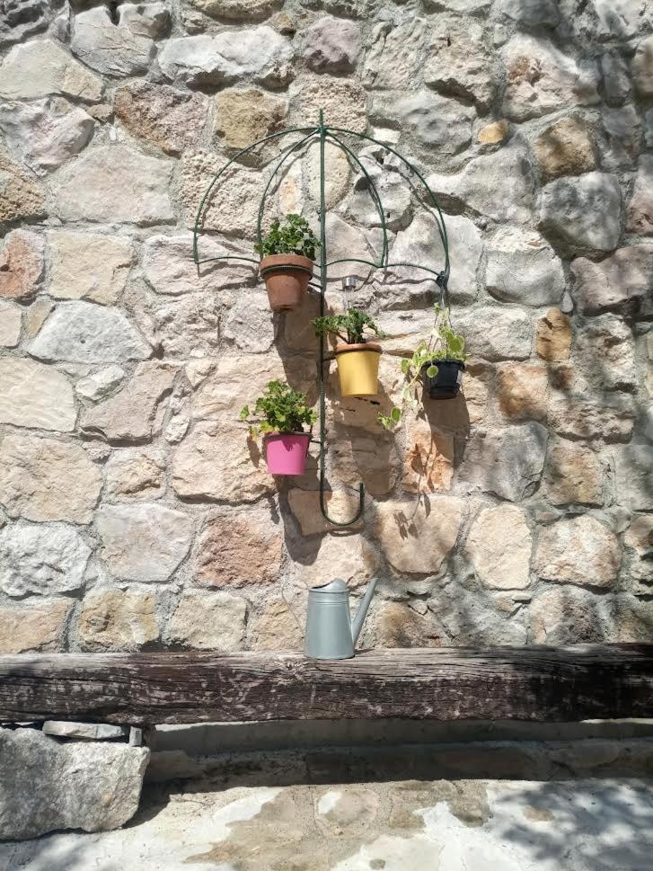 Photo 19