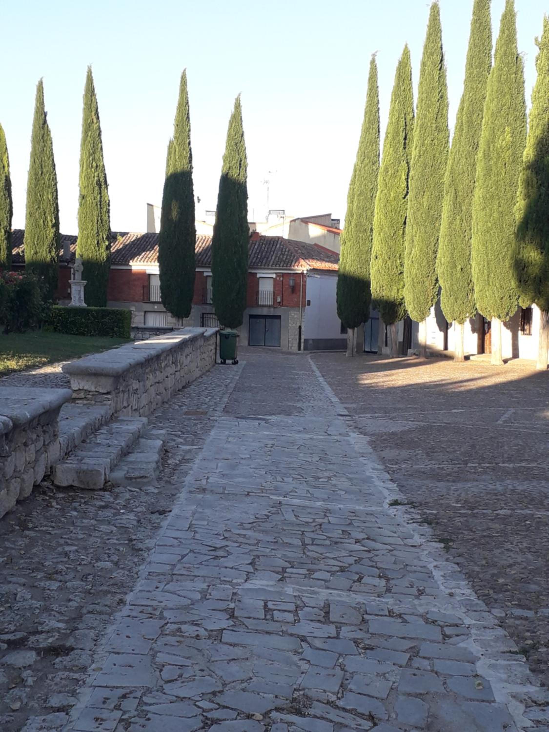 Photo 62