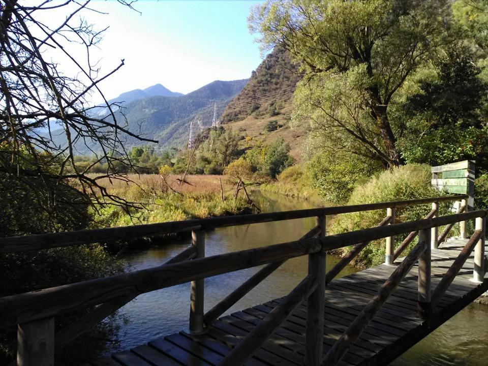 Photo 33
