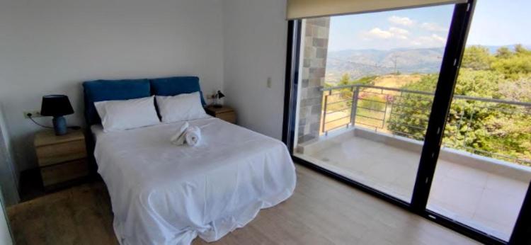 Oktonia apartments-Evia