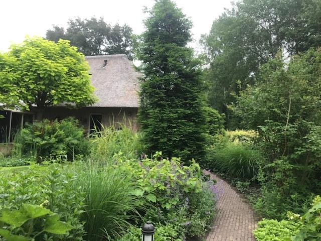 B&B. Het Hunebed Rolde view 5