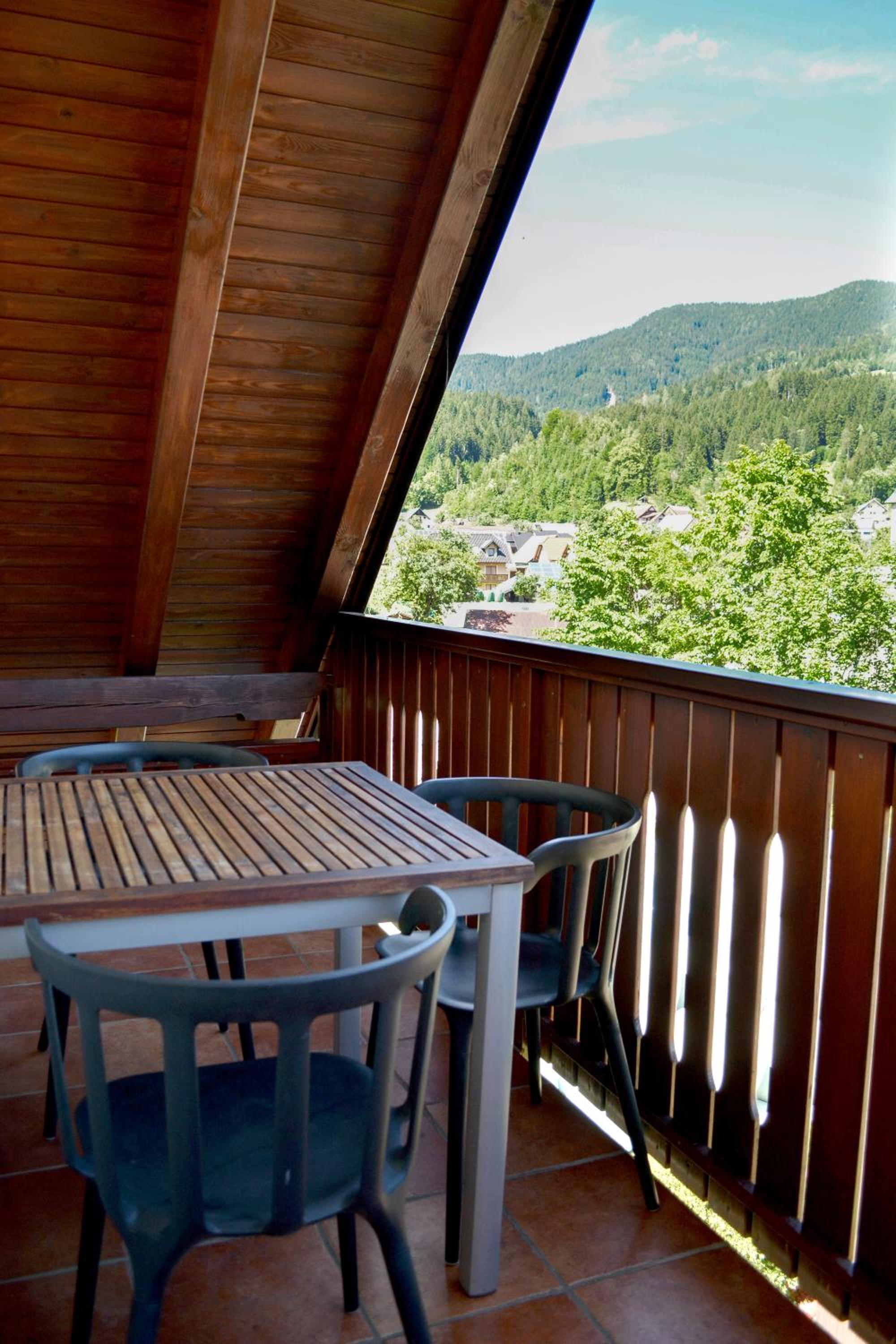 Villa Planina view 3