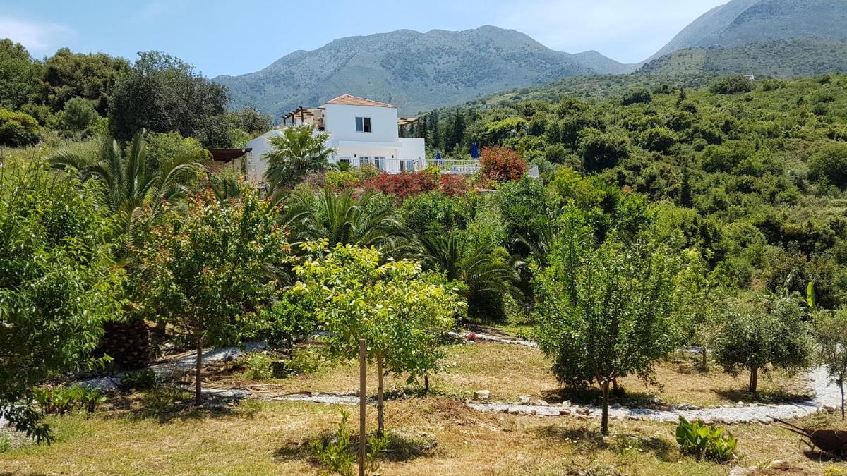 Photo 11
