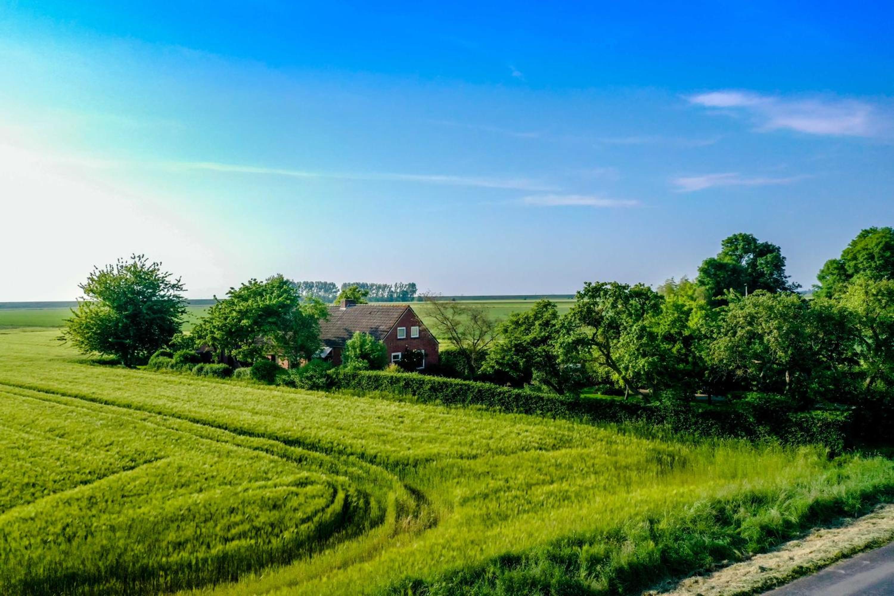 Polderhaus Deichblick direkt am Dullart