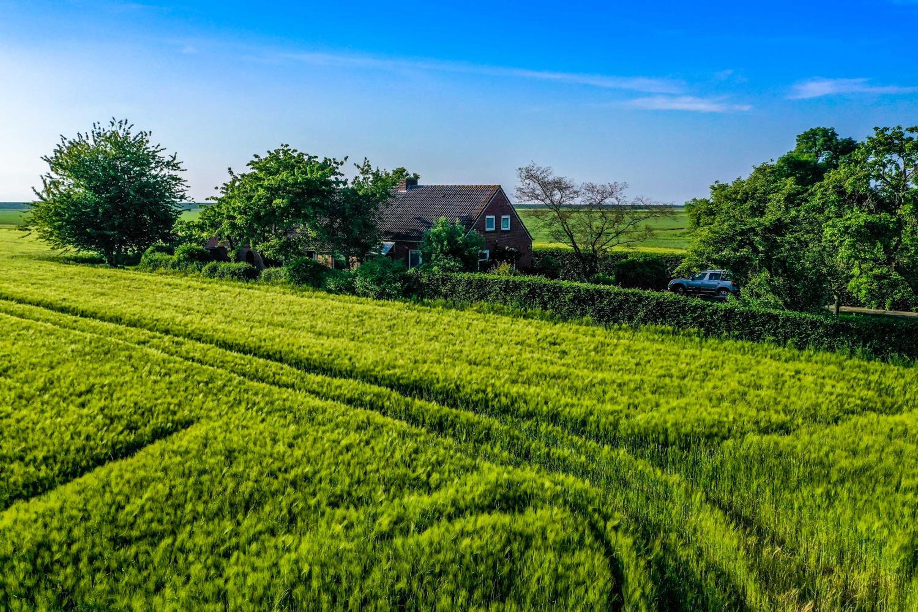 Polderhaus Deichblick direkt am Dullart