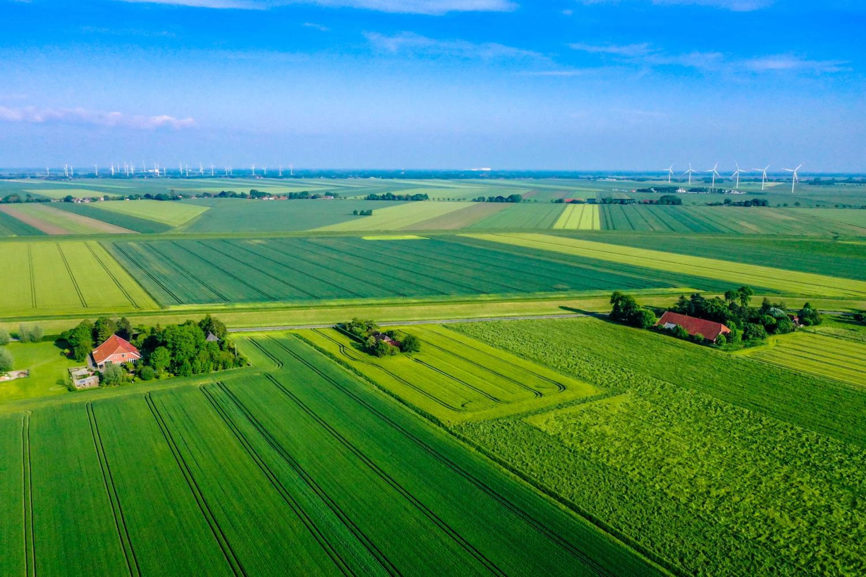 Polderhaus Deichblick direkt am Dullart