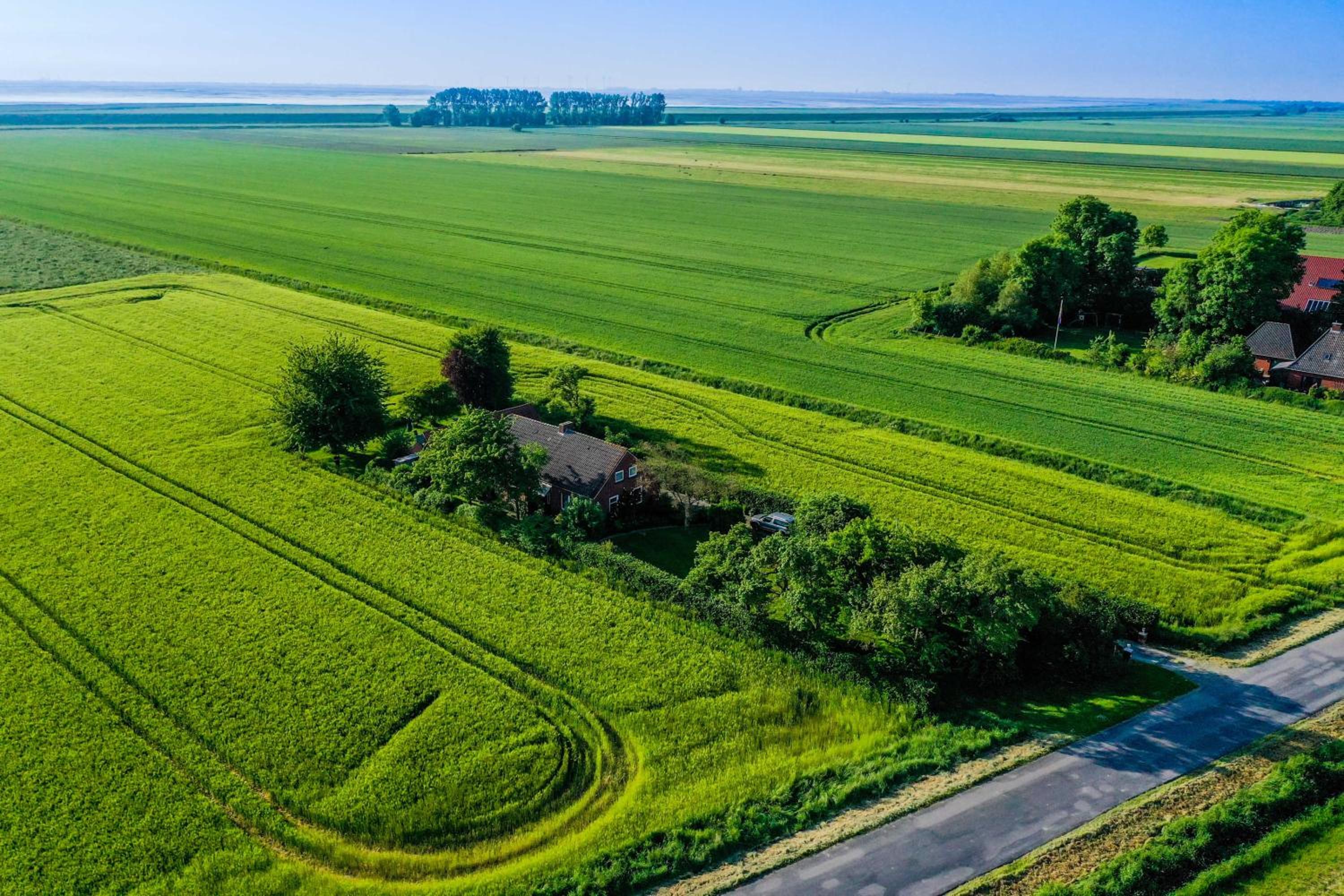 Polderhaus Deichblick direkt am Dullart