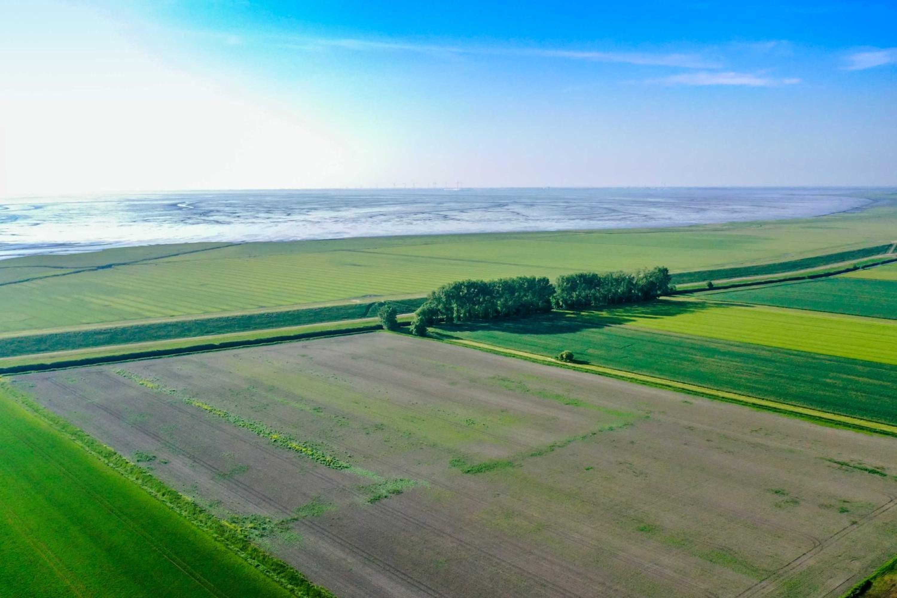 Polderhaus Deichblick direkt am Dullart