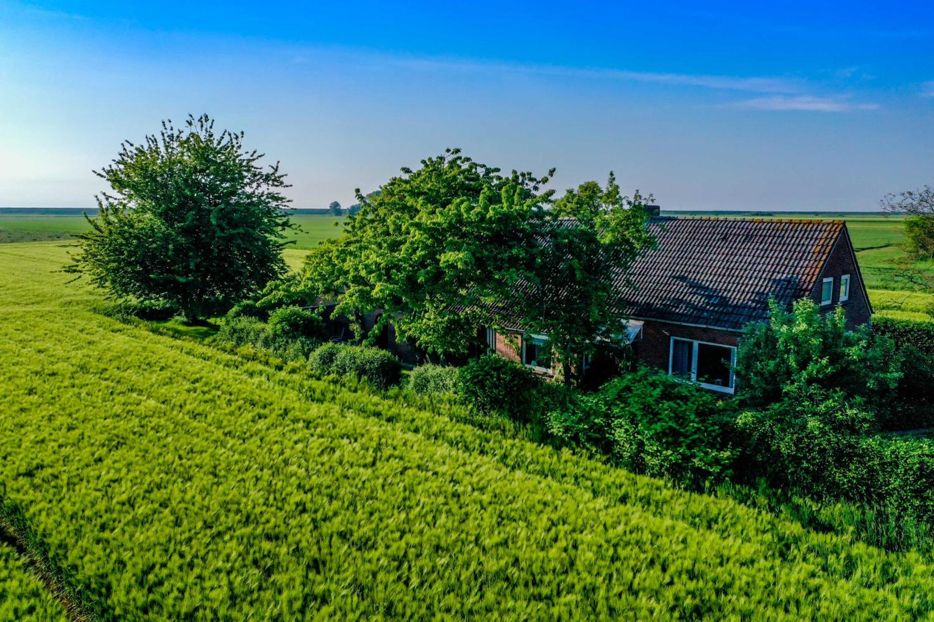 Polderhaus Deichblick direkt am Dullart