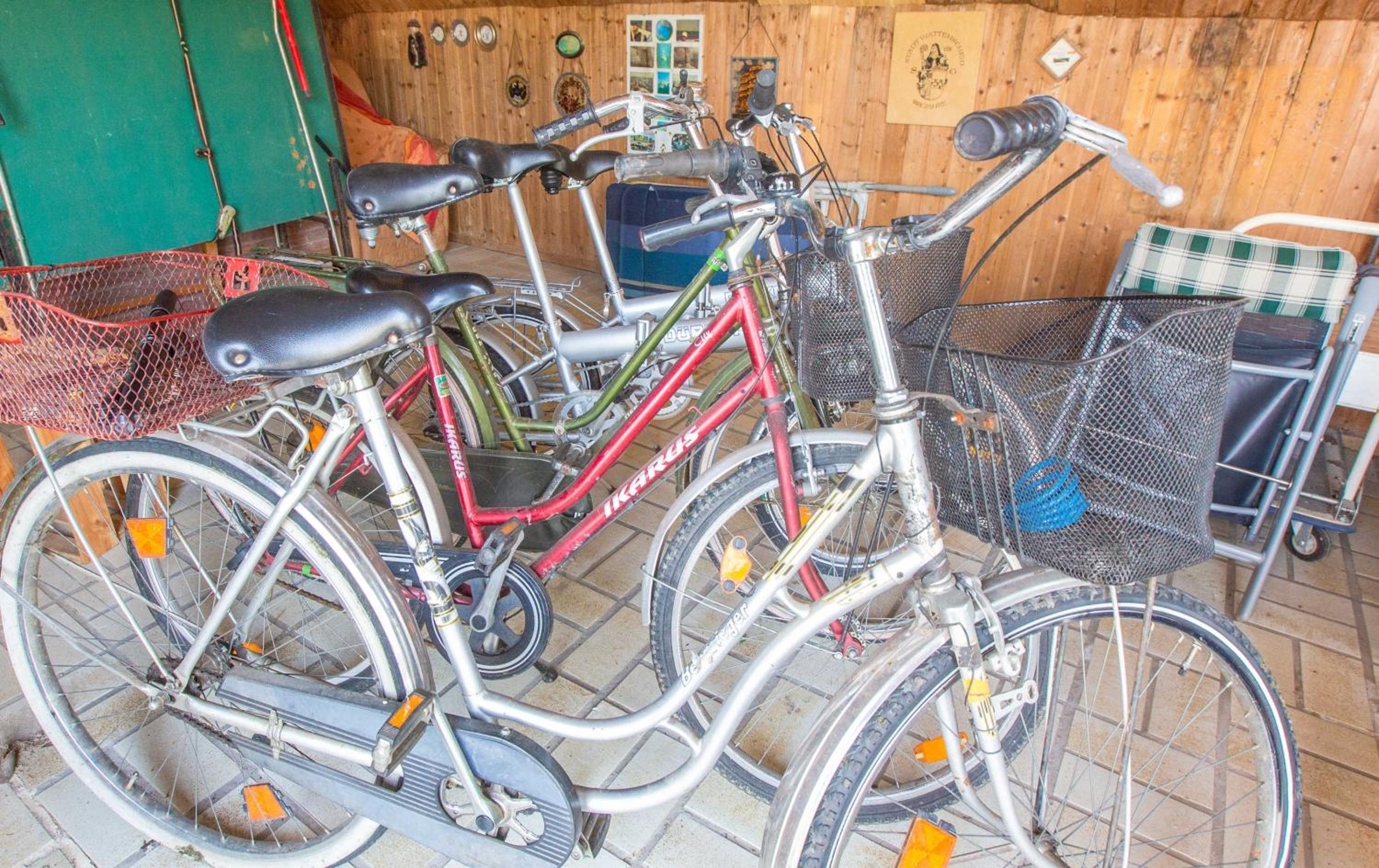 Polderhaus Deichblick direkt am Dullart