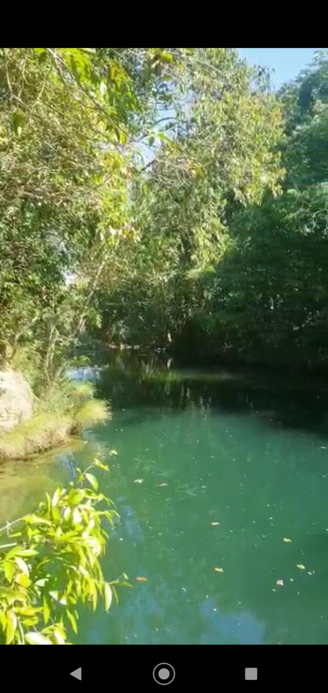 Refúgio Mundo dos Pássaros