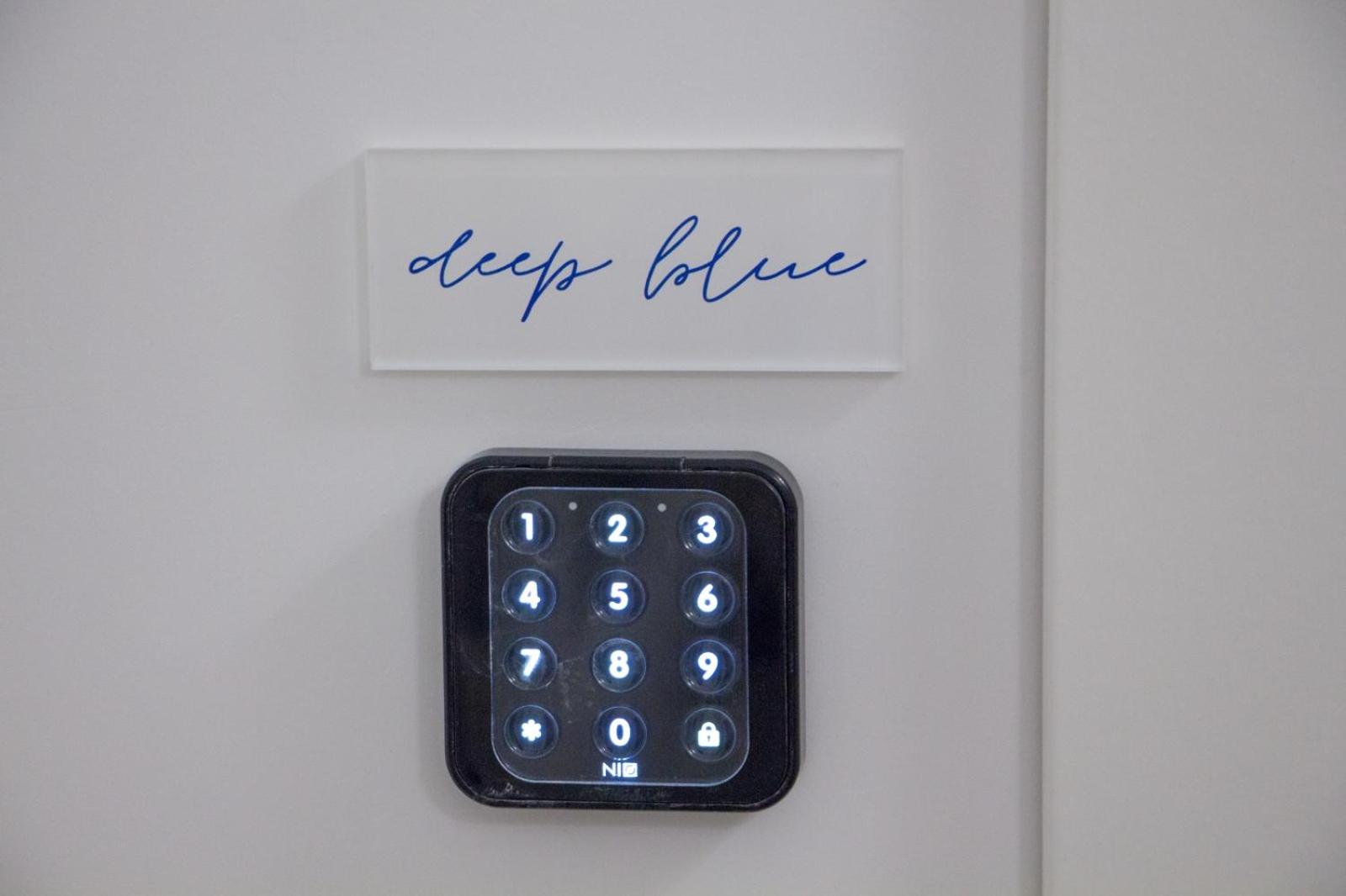 Blue Plebiscito