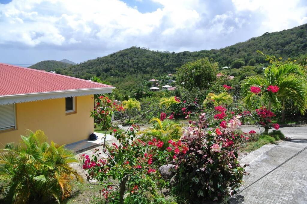 TI COCO view 4