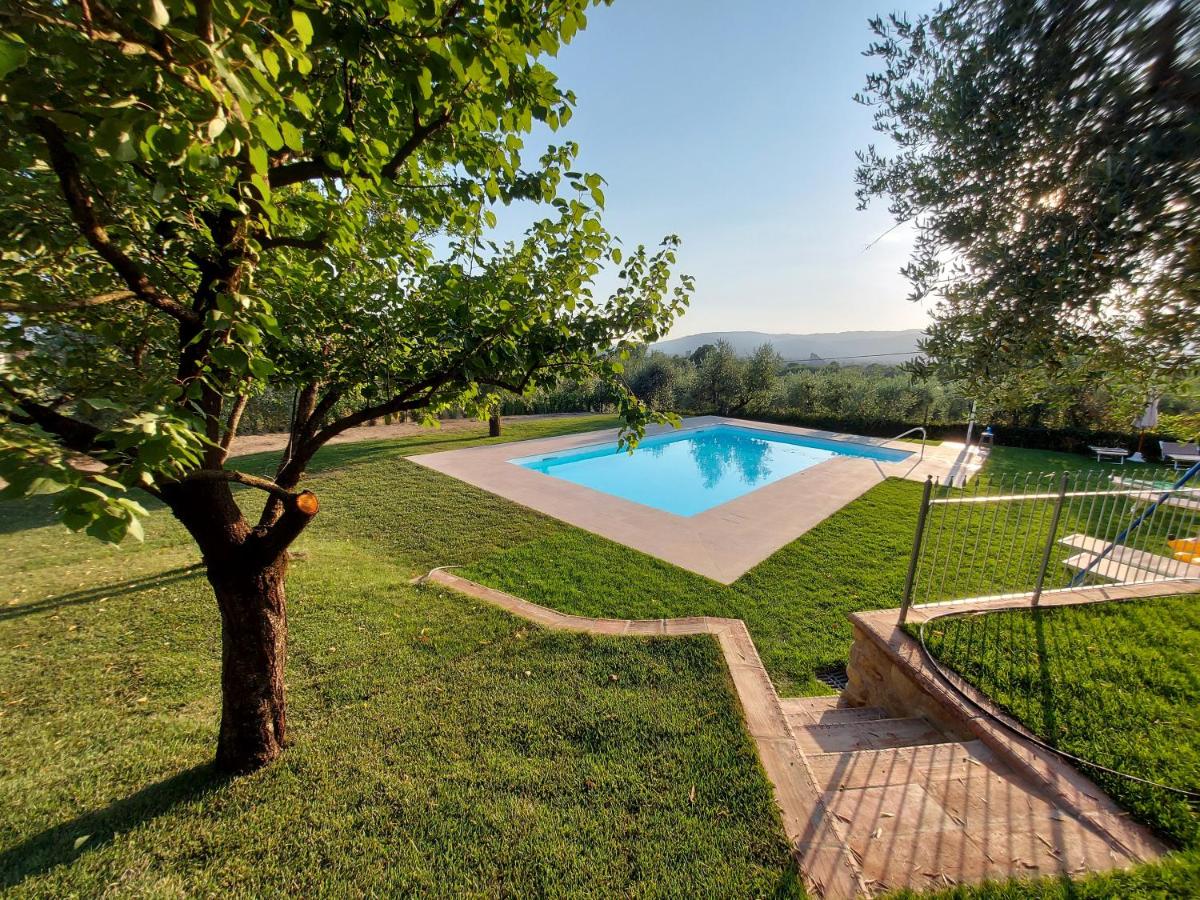Casa "IL BRIO" photo 1