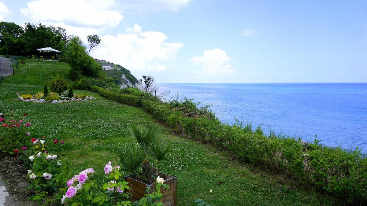 Byala Cliff Forest view 5