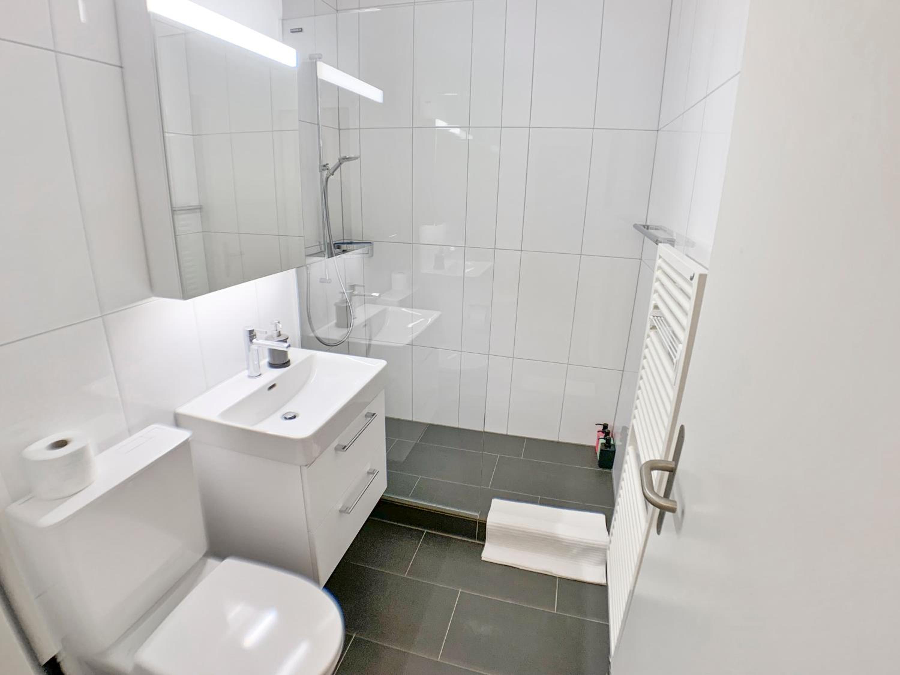 ARISER - Zug City View 1 Business Apartment view 5