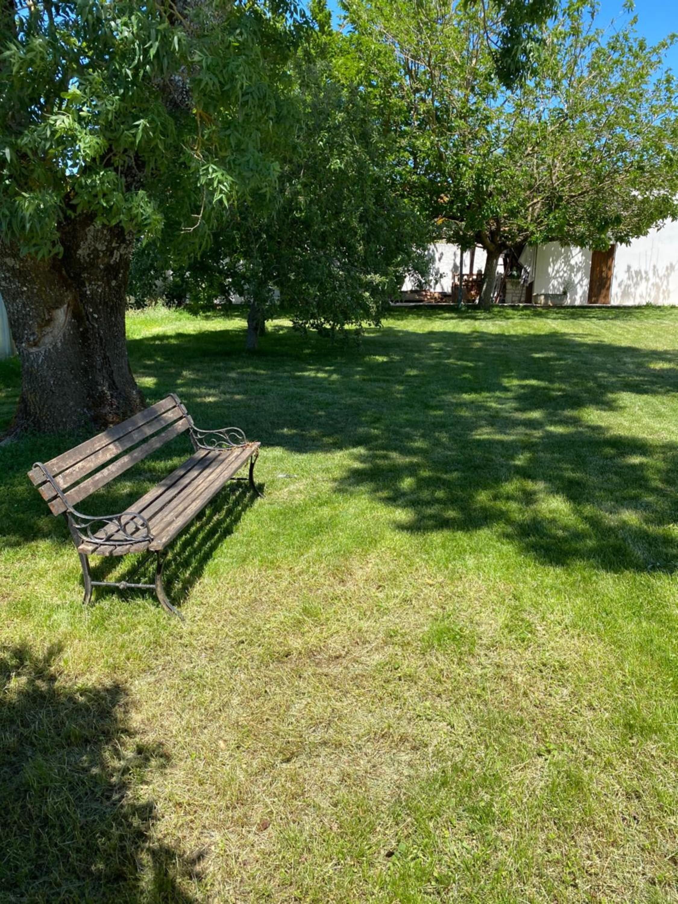 Photo 39