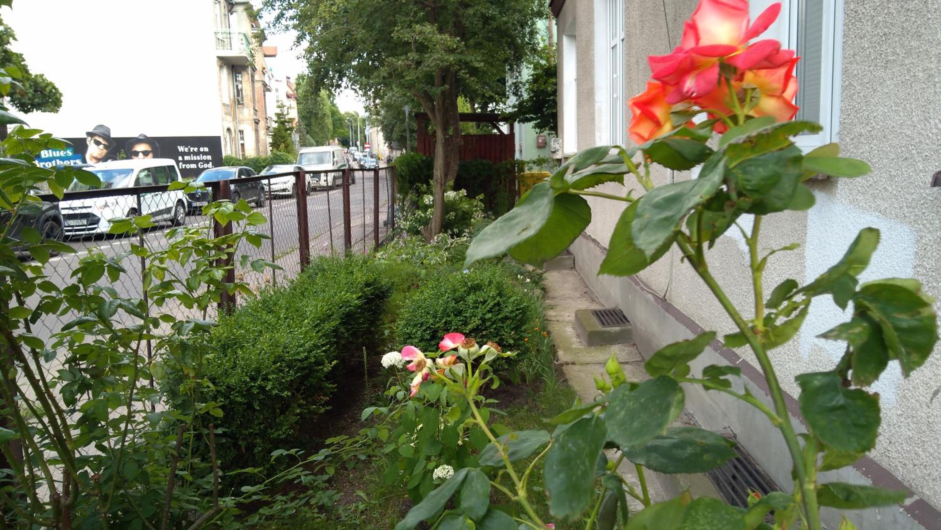 Photo 31