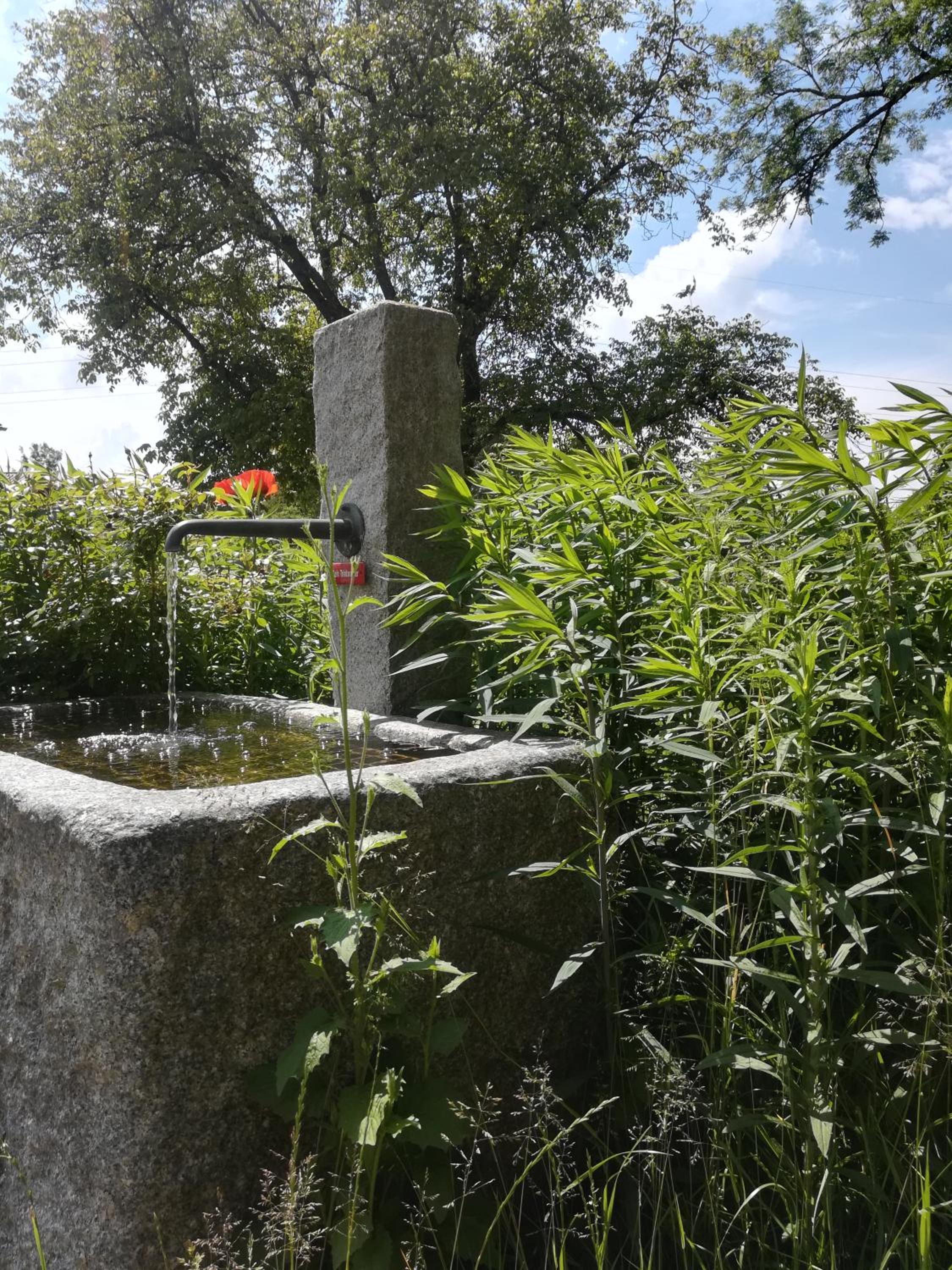 Marxhof Seebruck am Chiemsee
