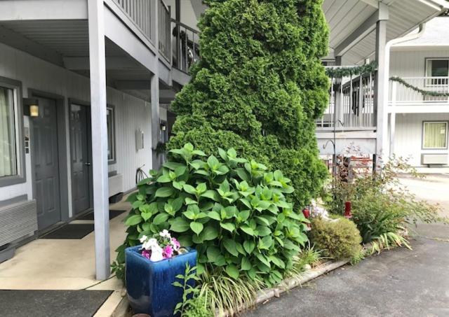 Hotel Four Seasons Inn