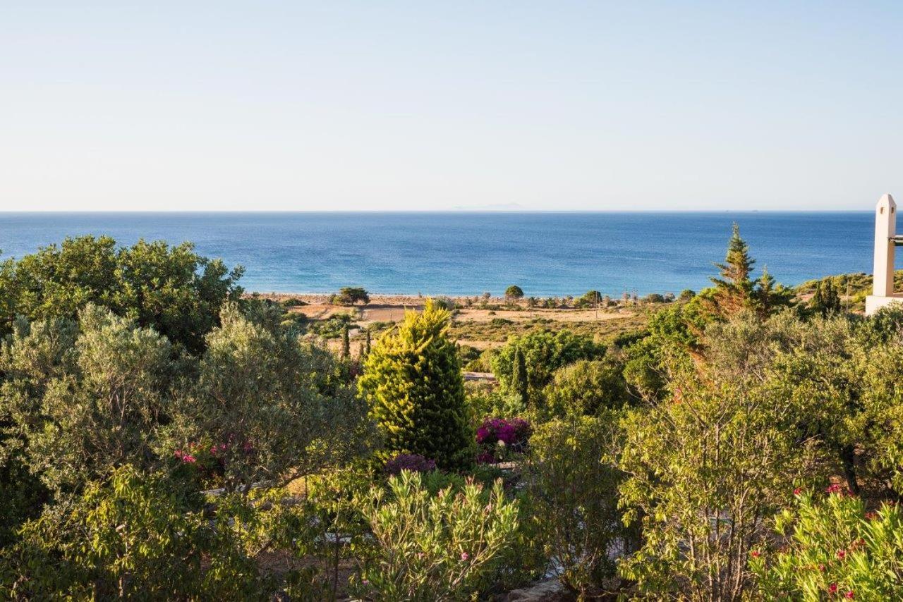 Photo 53