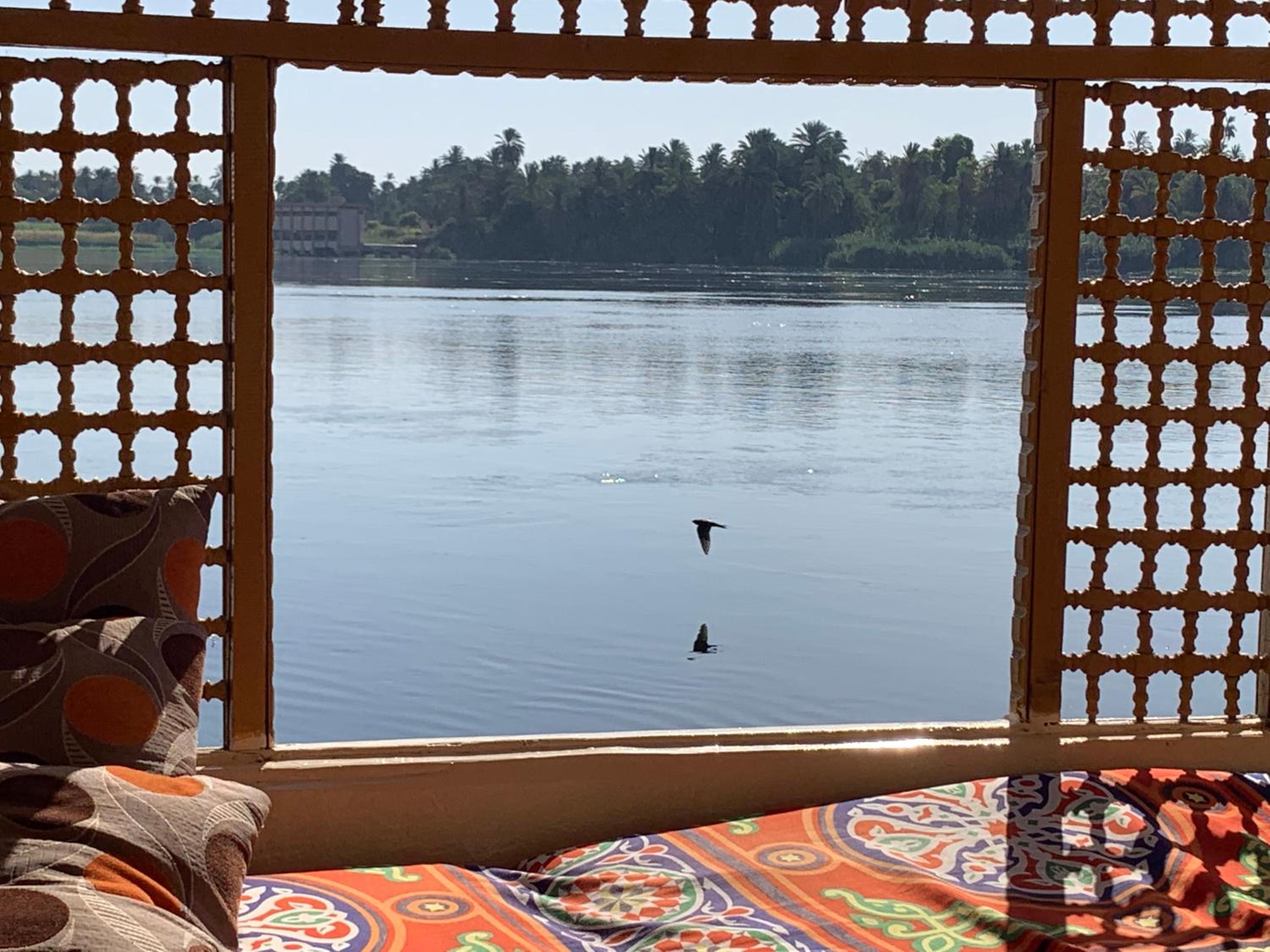 JJ Jamaica Felucca - Image 2