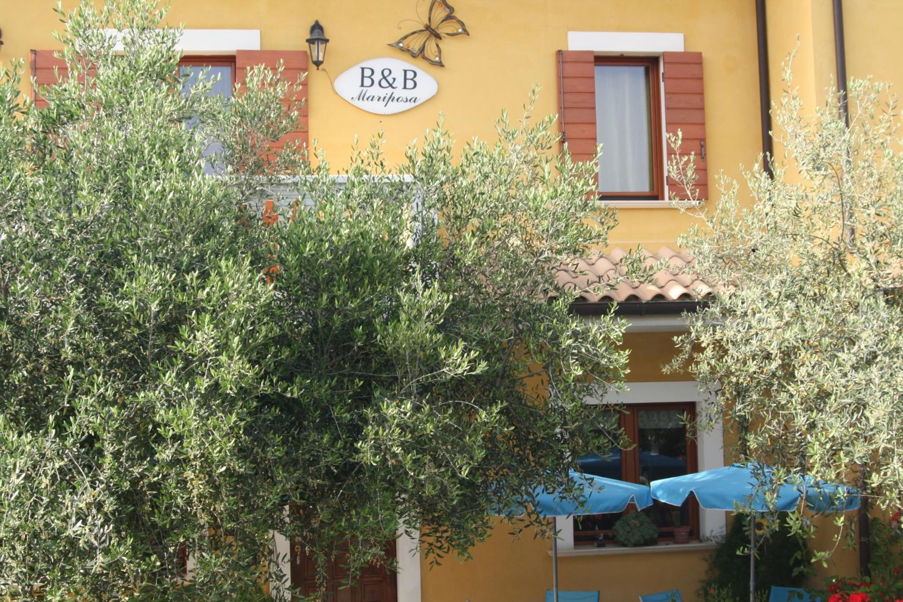 B&B Mariposa
