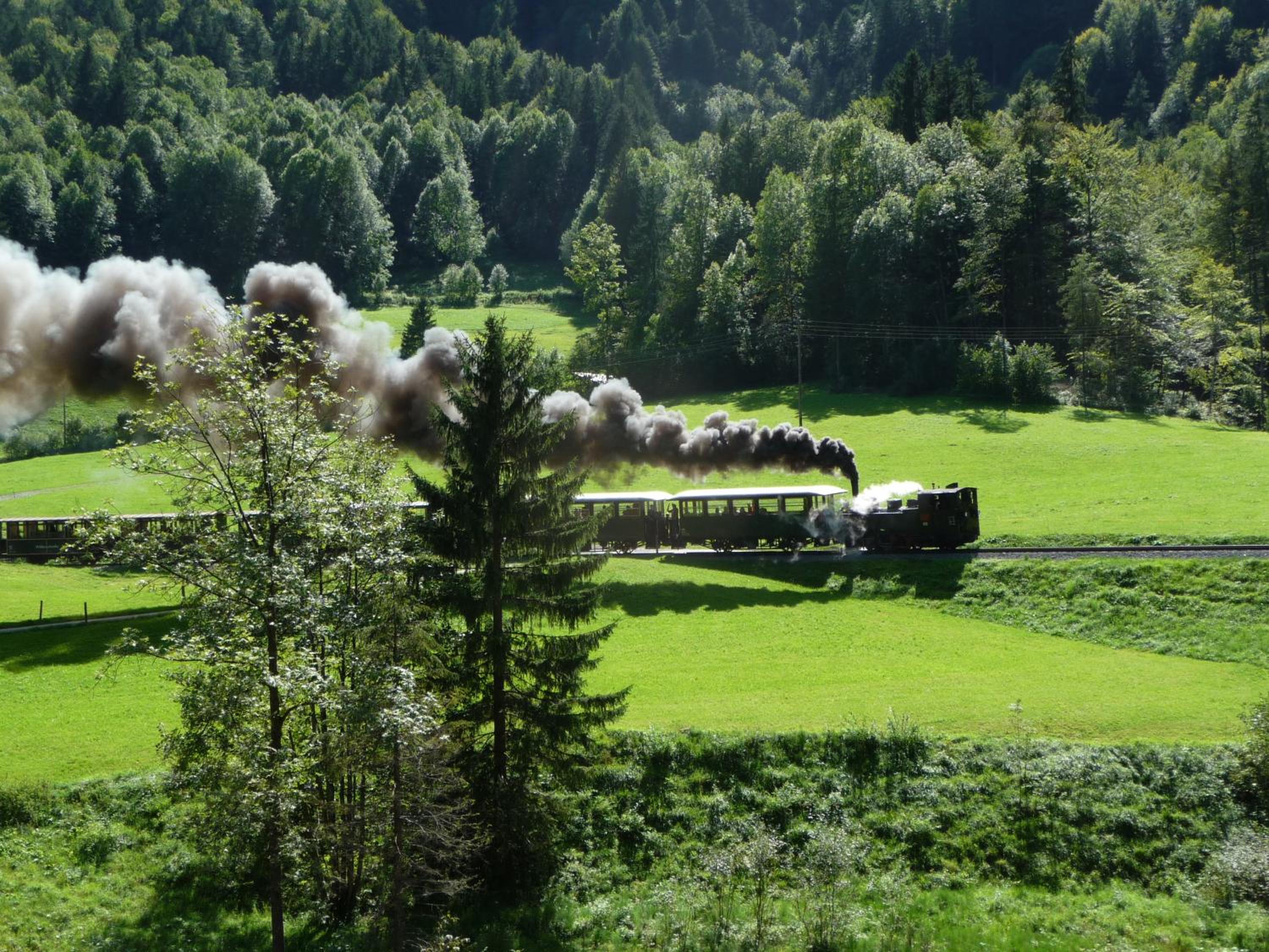 Dorfgasthof Adler