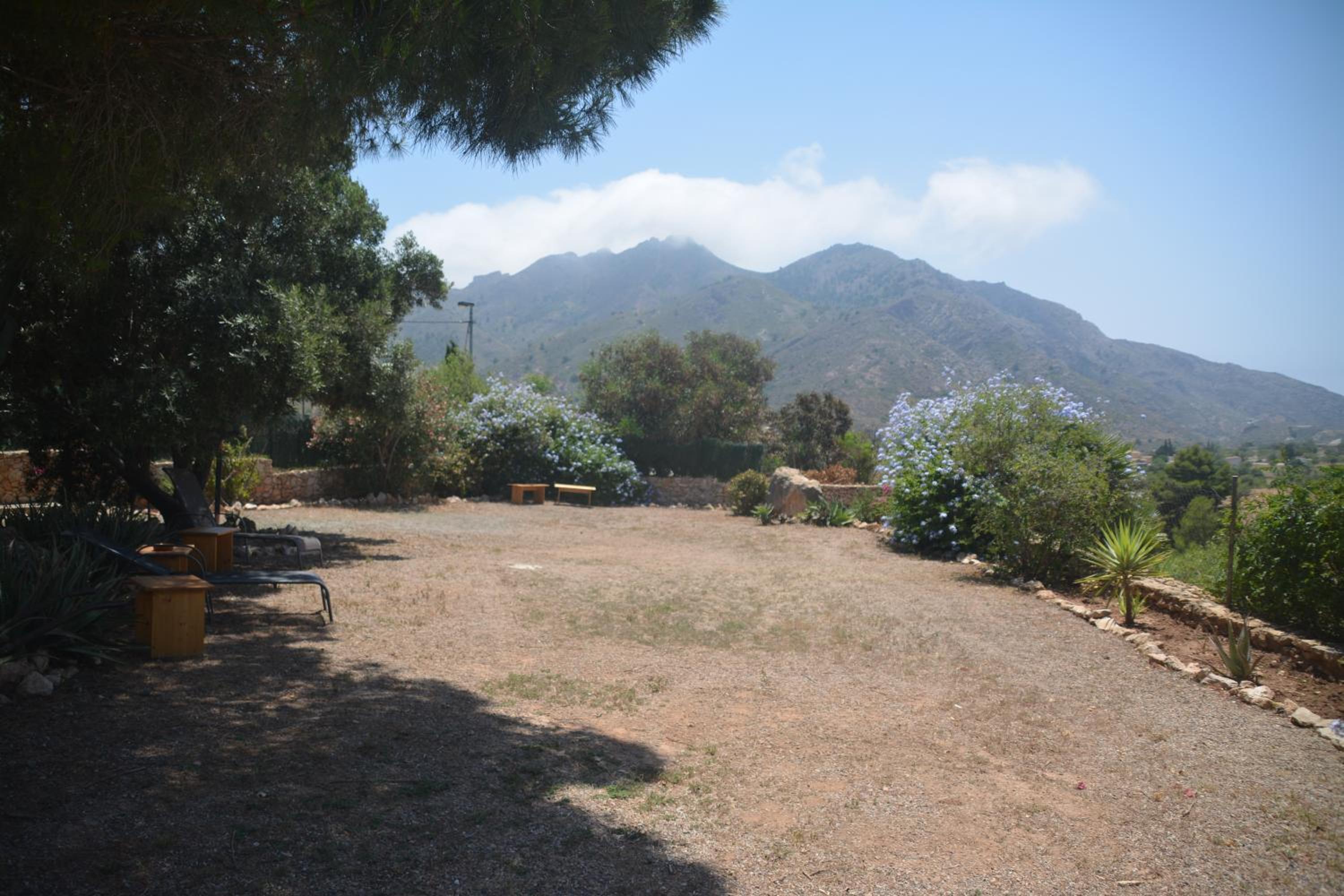 Photo 33