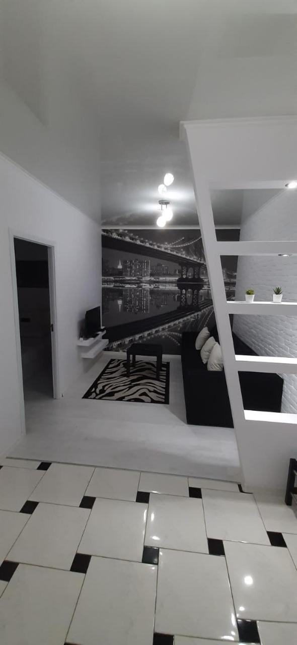 TESTEMITEANU APARTMENT view 2