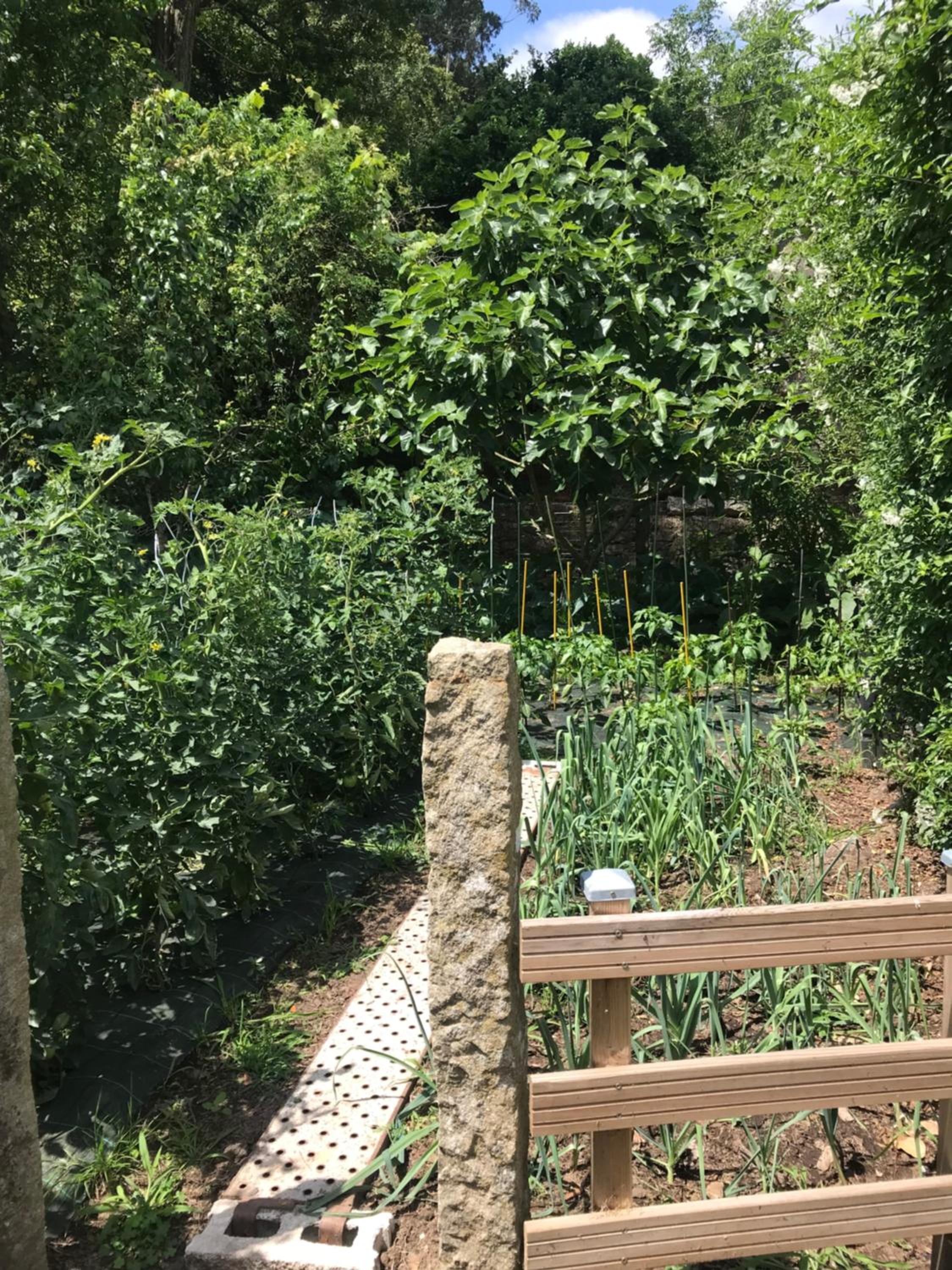 Photo 19