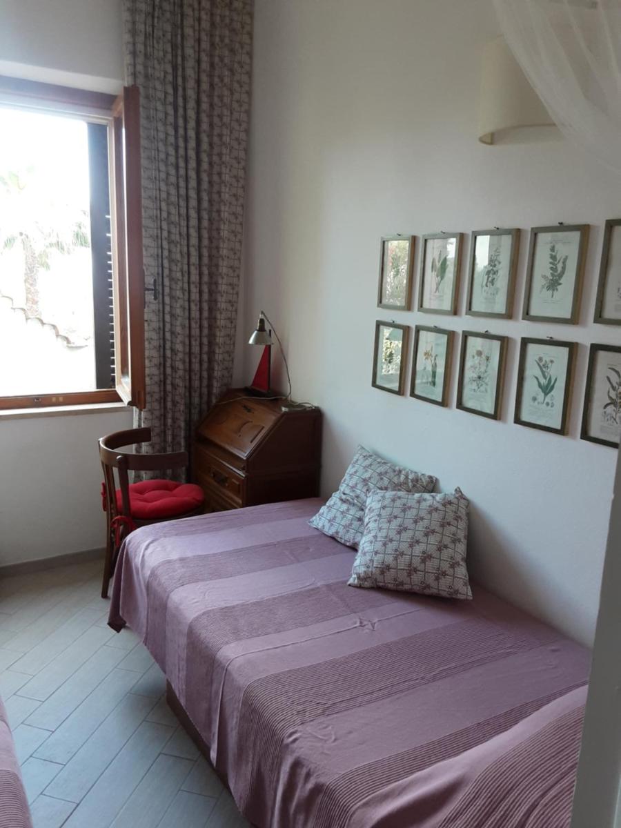 Il polpetto view 3