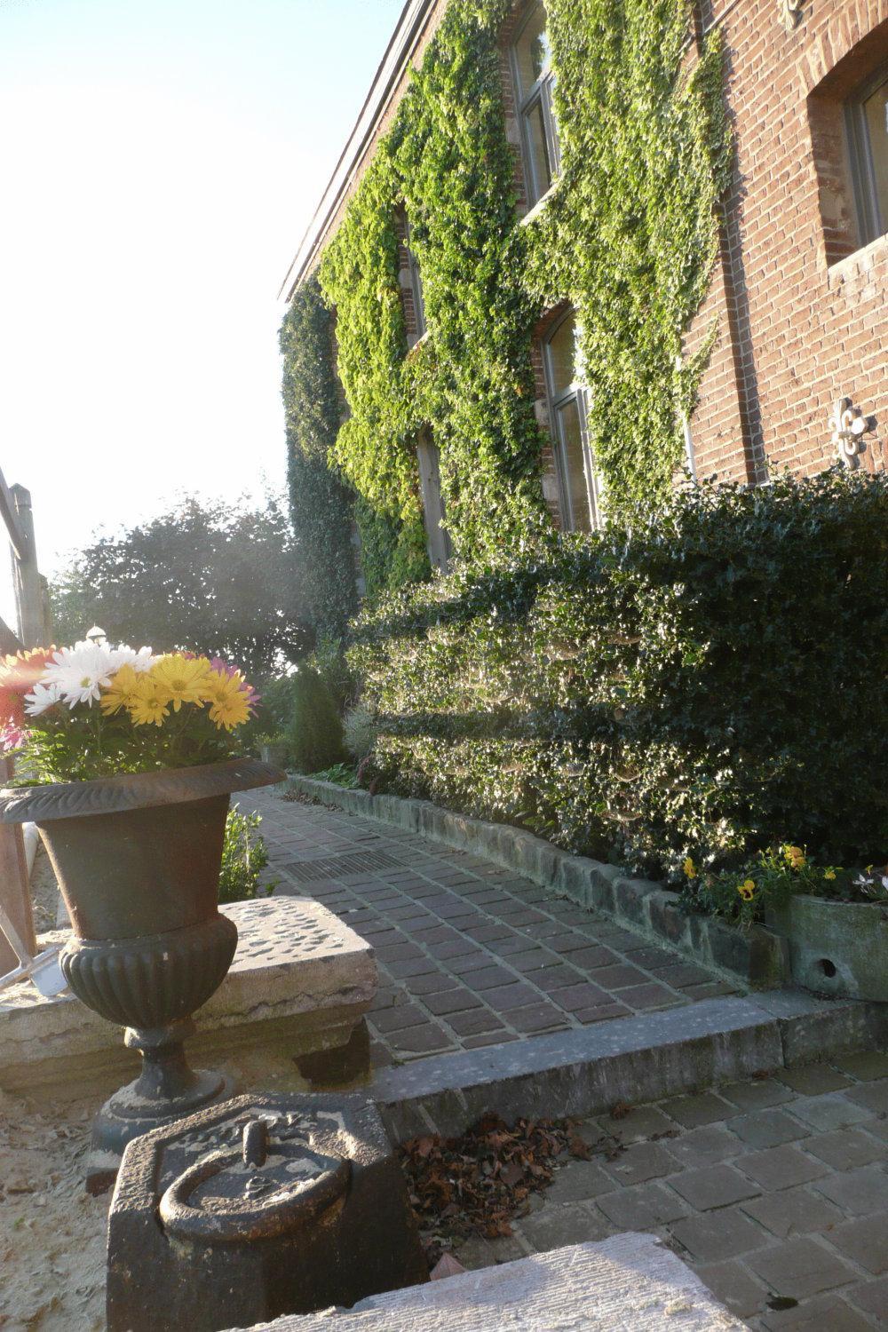 B&B Le Moulin de Fernelmont