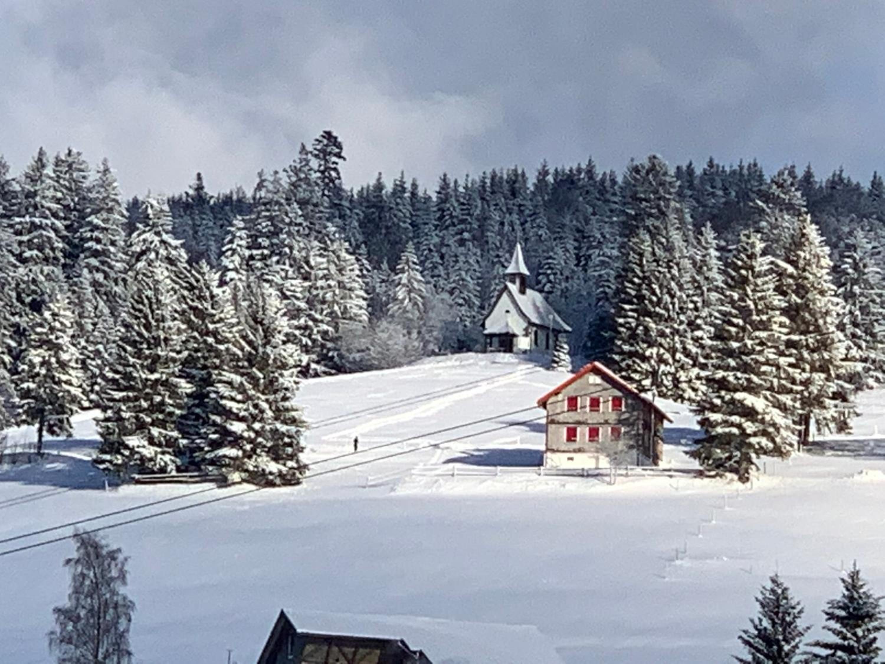 Haus am Sonnenberg,Todtnauberg, Ferienwohnung 002, direkt am Skilift-Skipiste, Nähe Feldberg view 5
