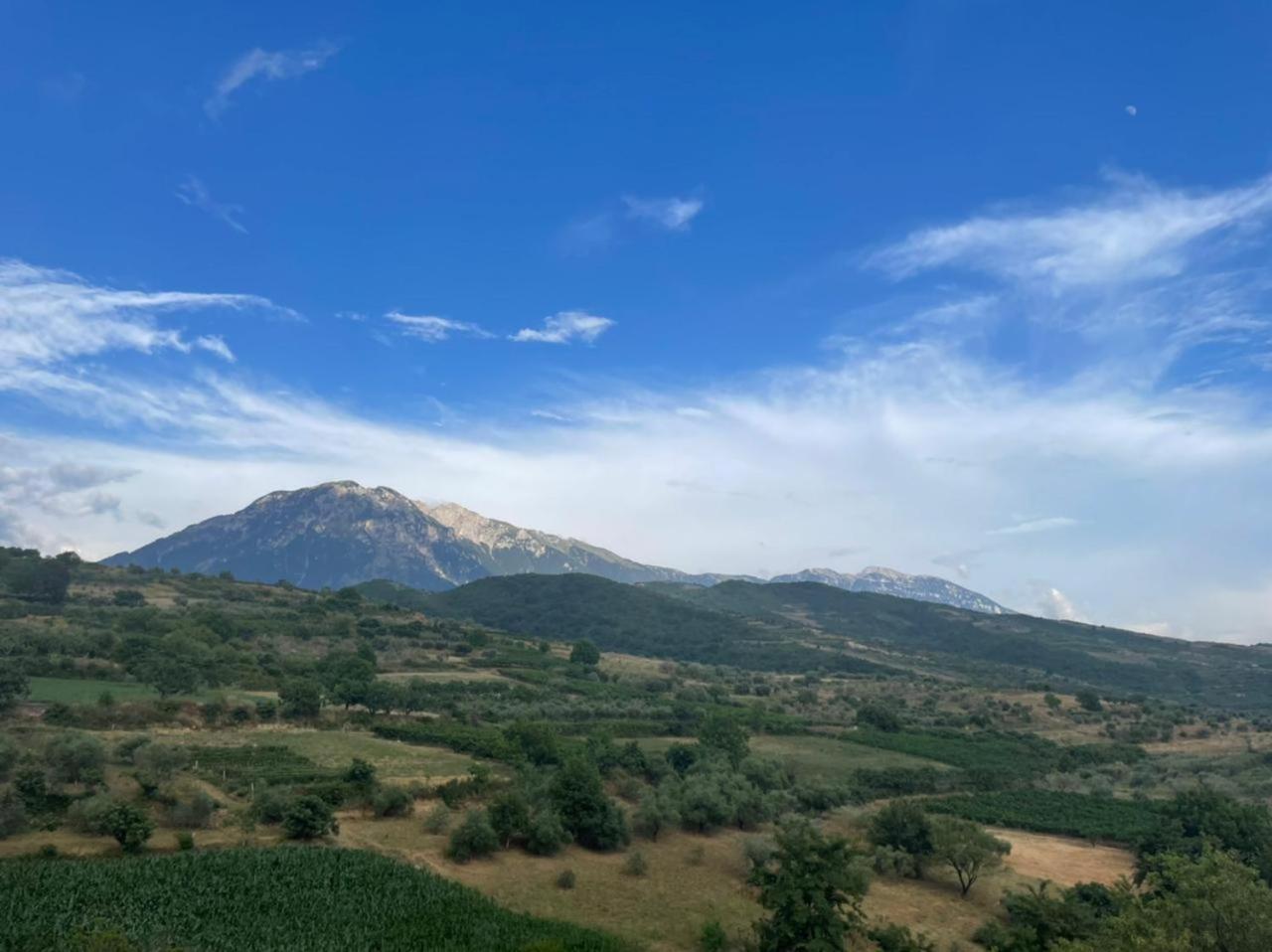 Alpeta Agrotourism & Winery - Roshnik , Berat
